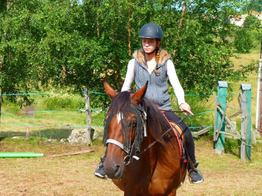 Activities in Les Chalets du Haut-Forez