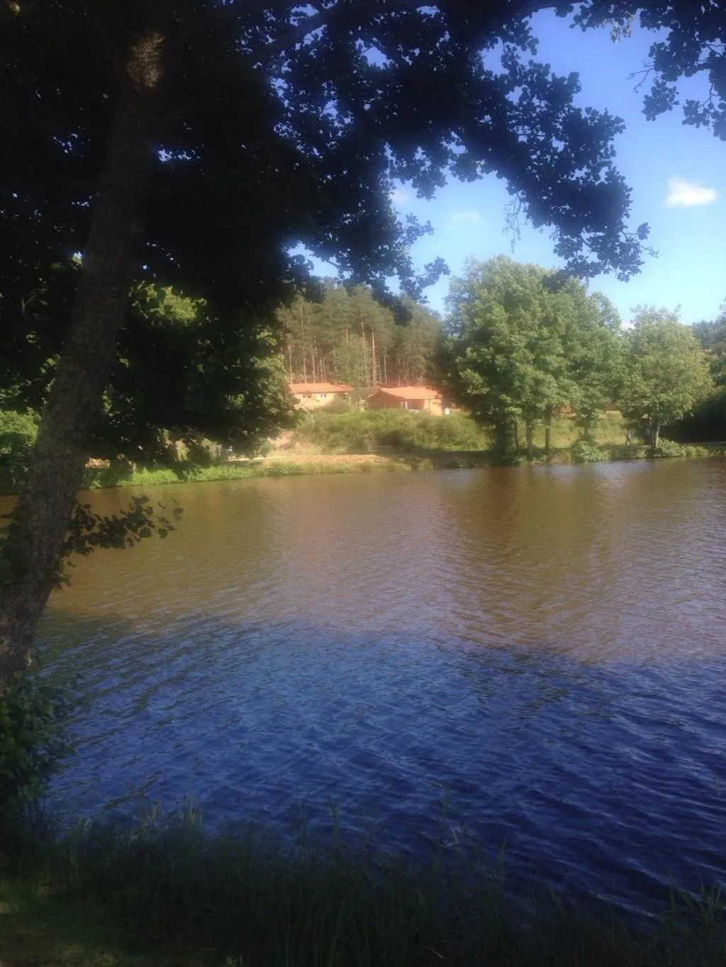 Beach in Les Chalets du Haut-Forez
