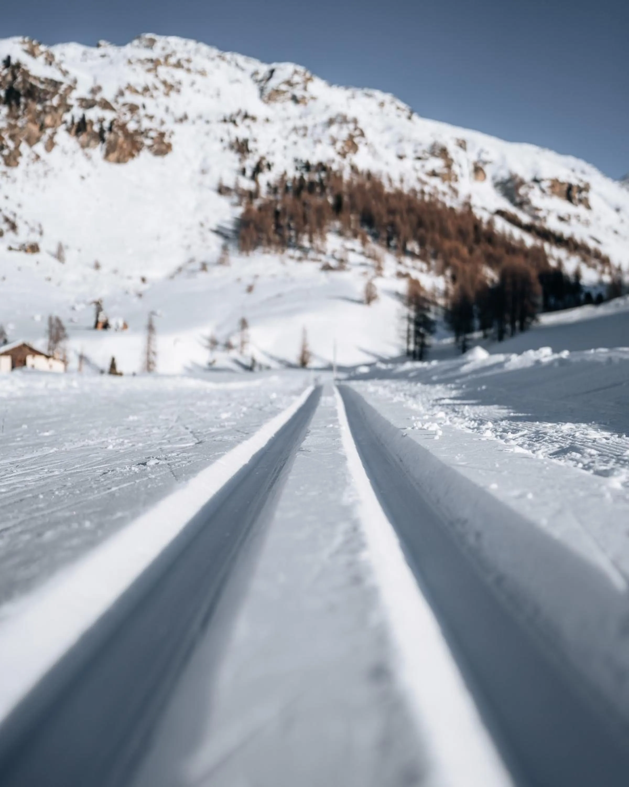 Skiing in Hotel Chesa Pool