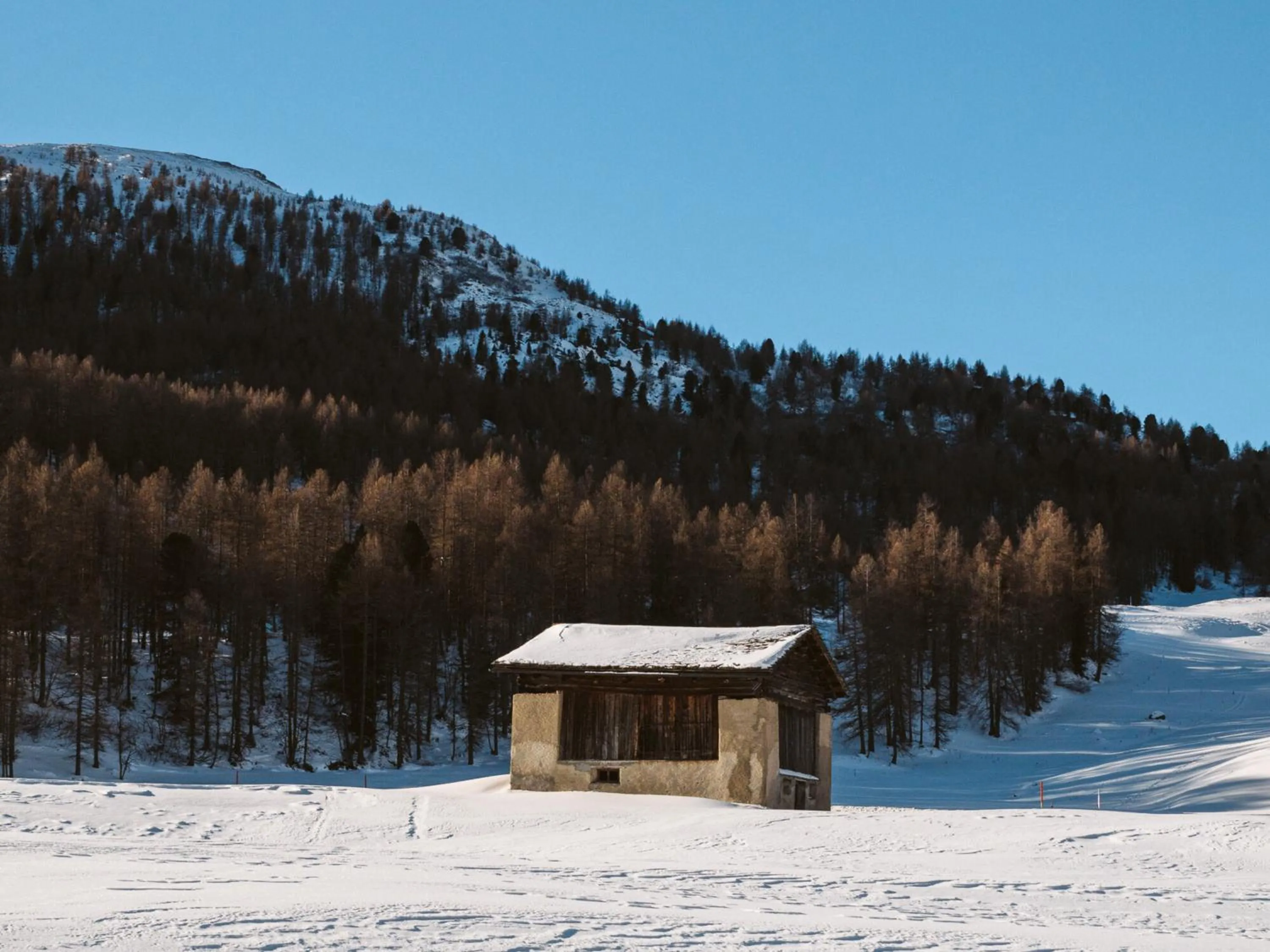 Natural landscape in Hotel Chesa Pool