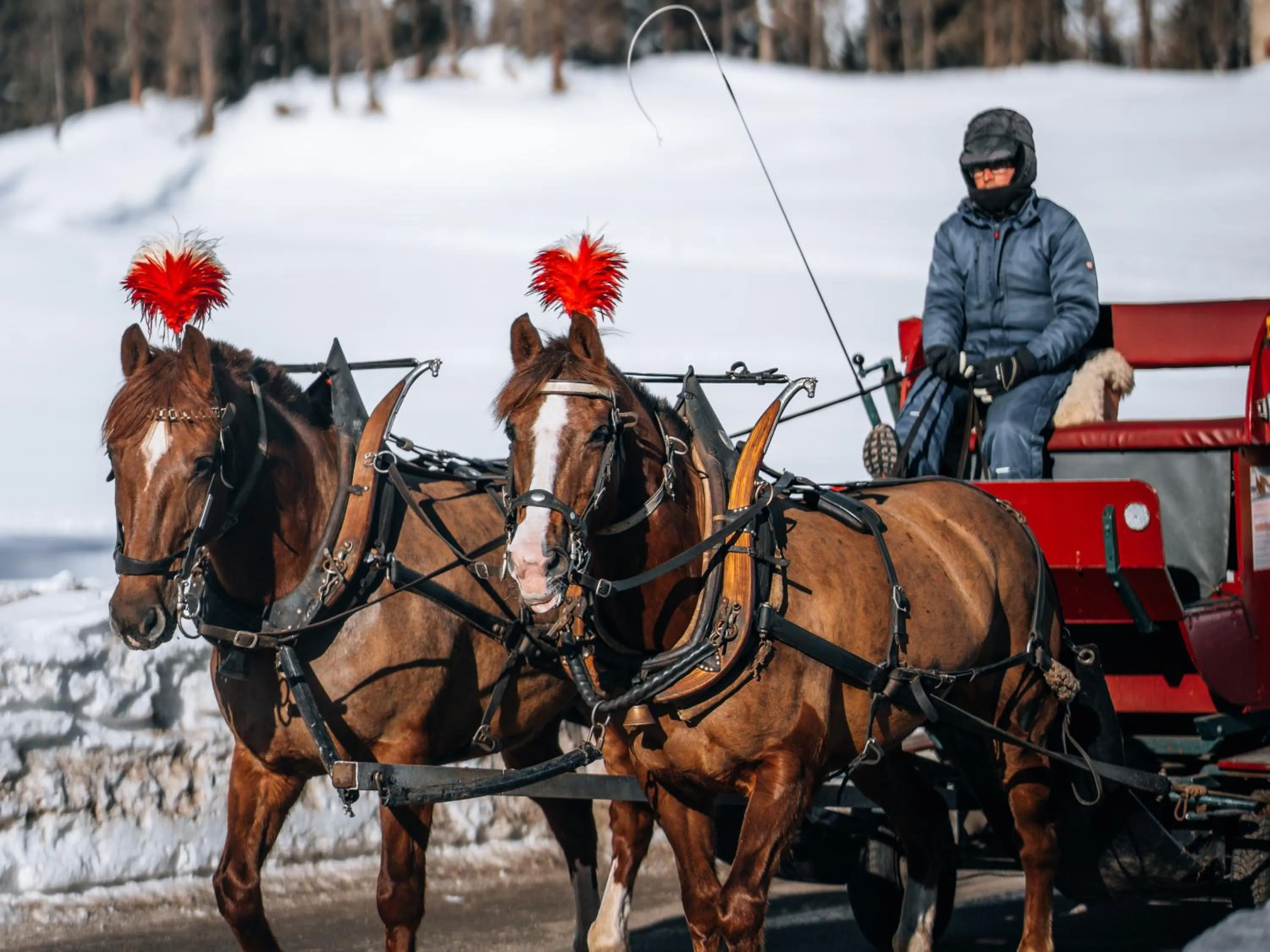 acessibility in Hotel Chesa Pool