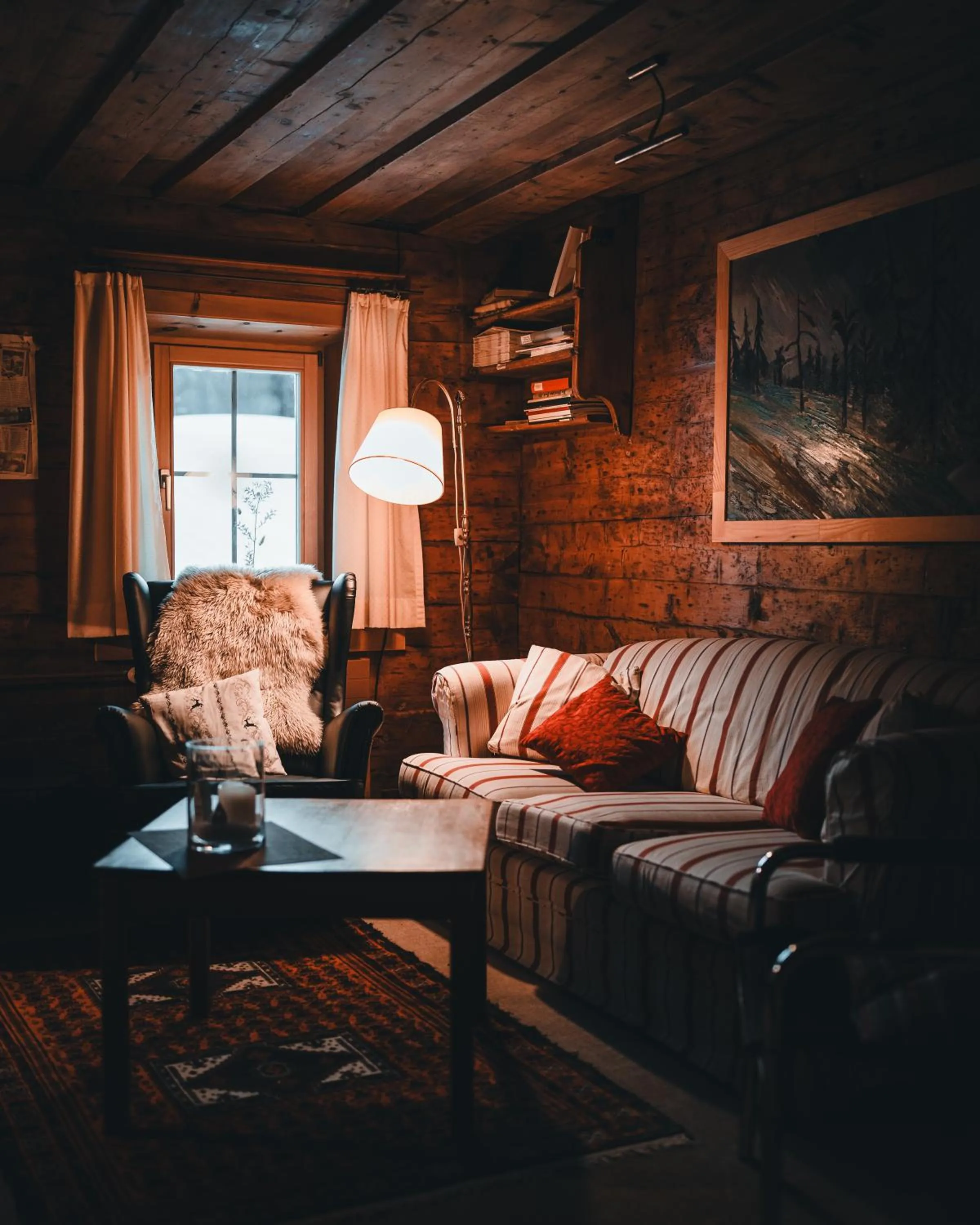 Area and facilities in Hotel Chesa Pool