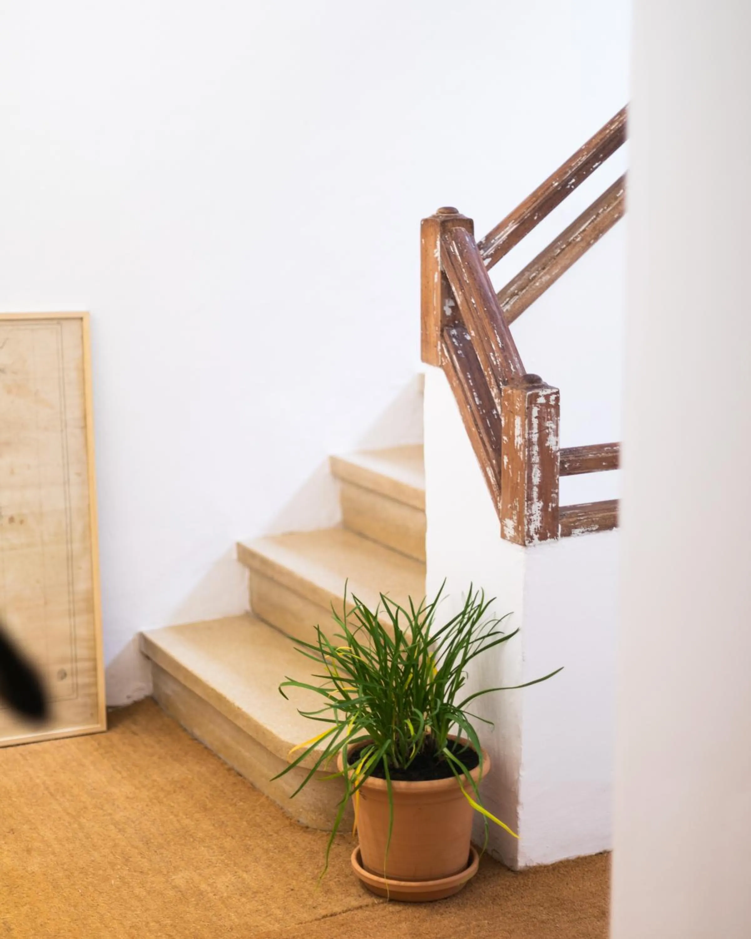 Property building in Hostal Sa Teula