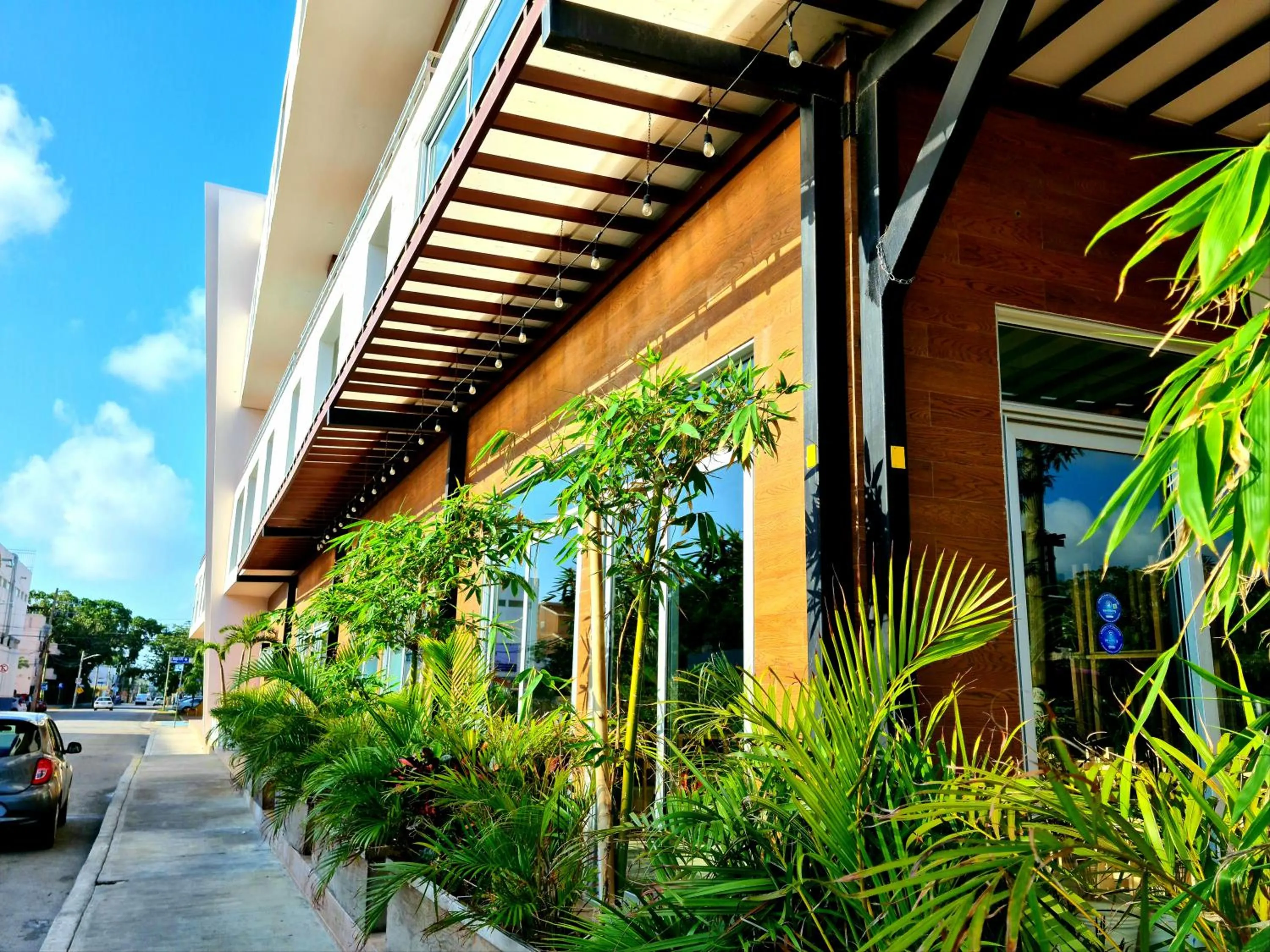 The Gallery Condos Discover Playa del Carmen from The Gallery Condos steps to the beach