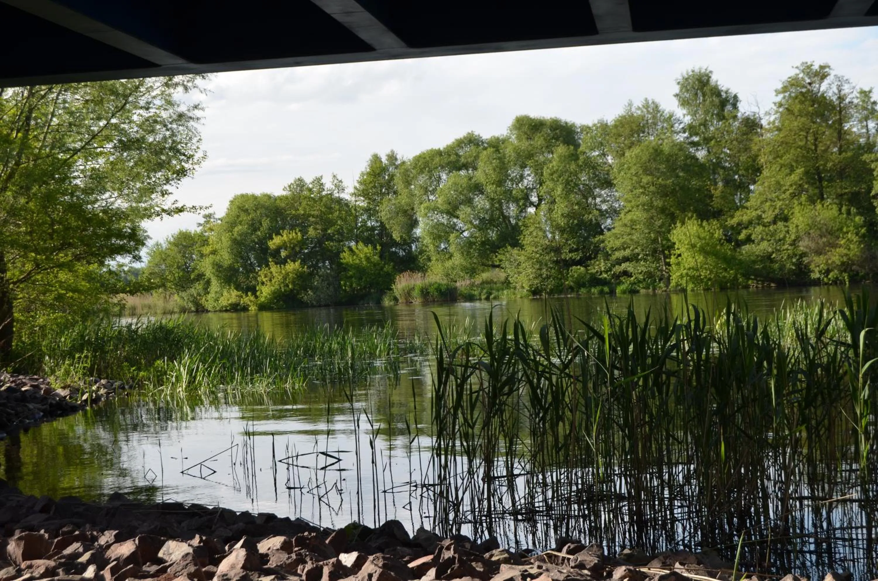 Natural landscape in Hotel Fürstenhof
