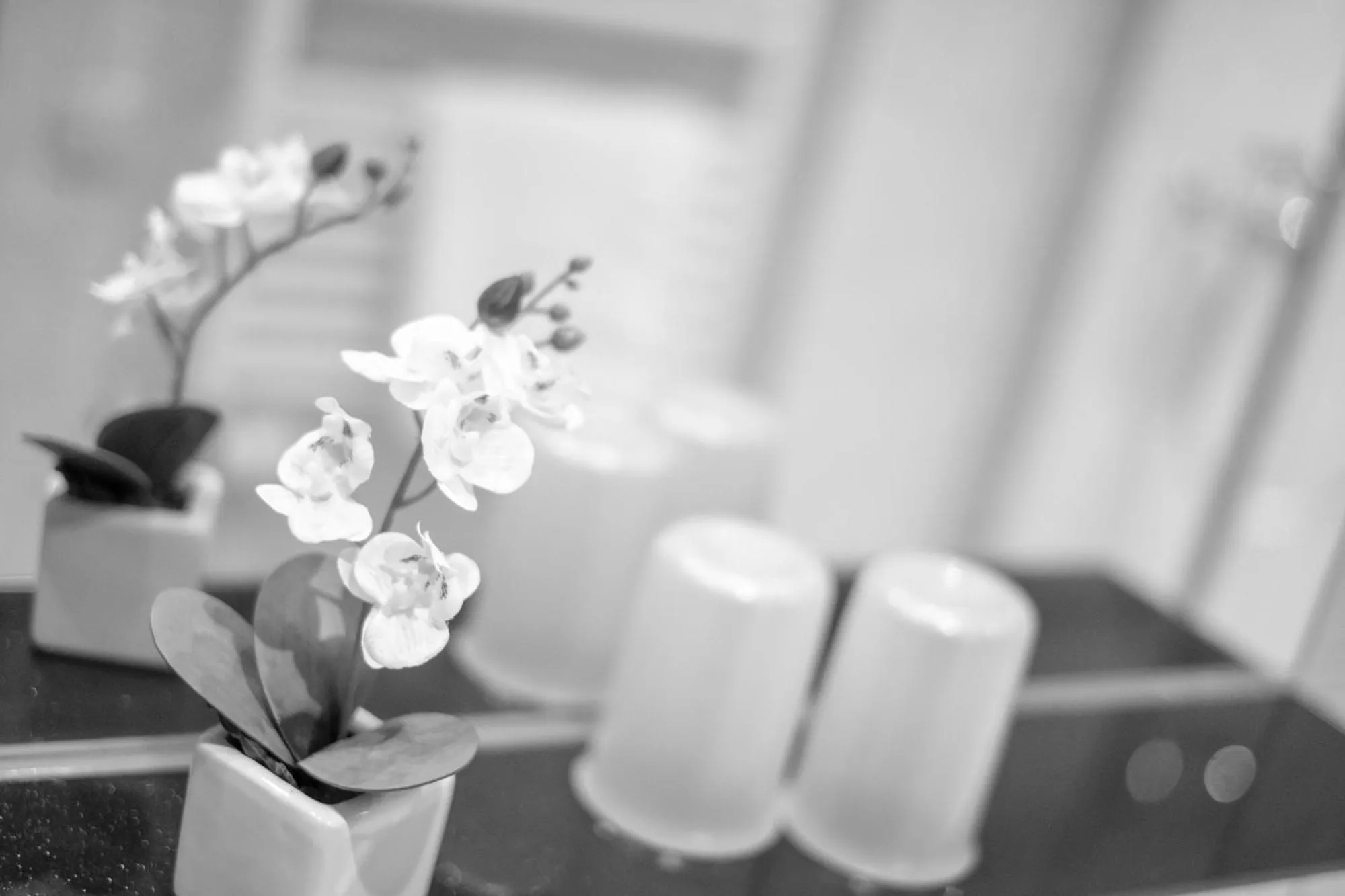 Staff in Hotel Alpspitz B&B