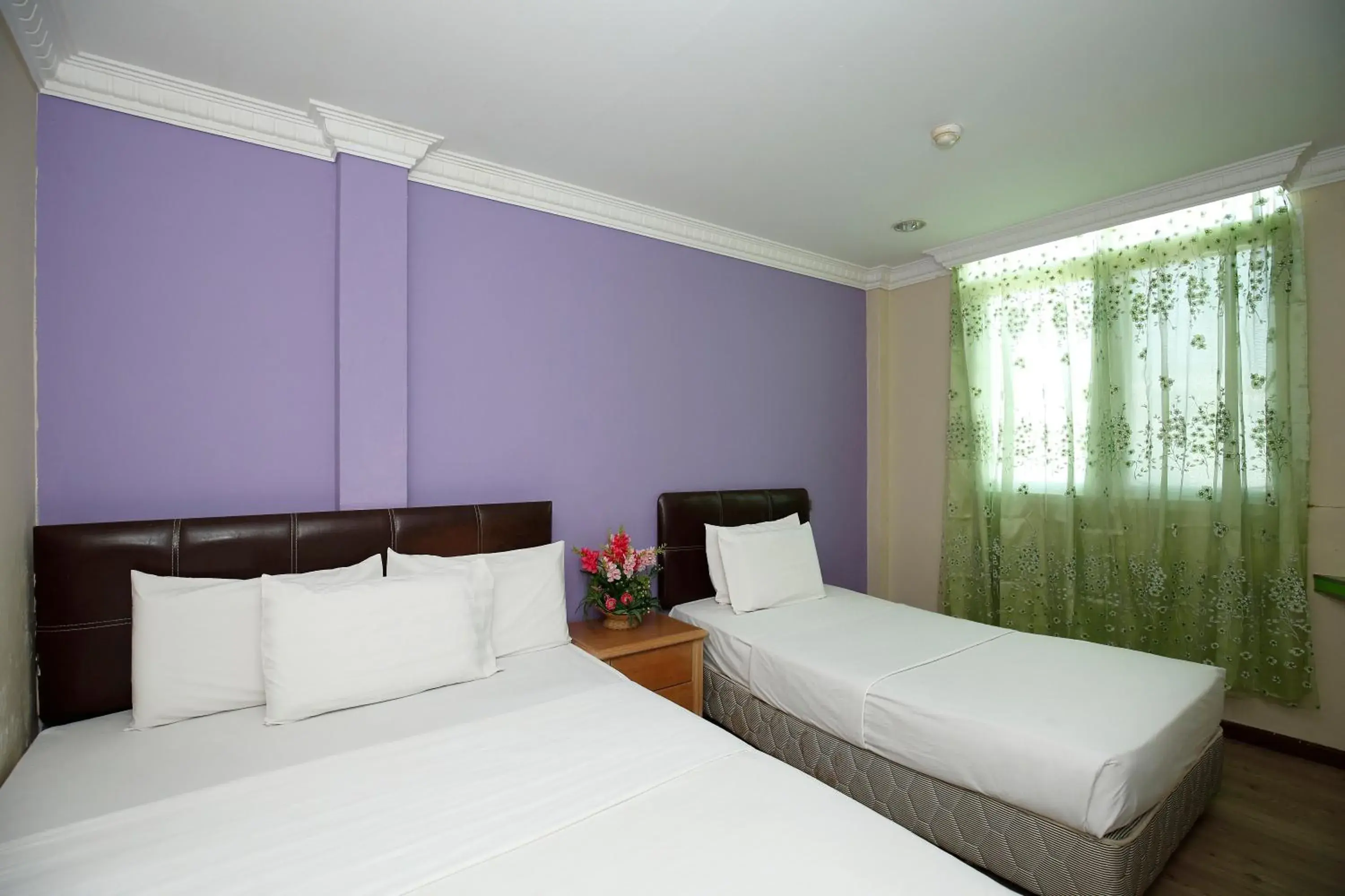 Triple Room in Cosy Inn Triple Room in Cosy Inn