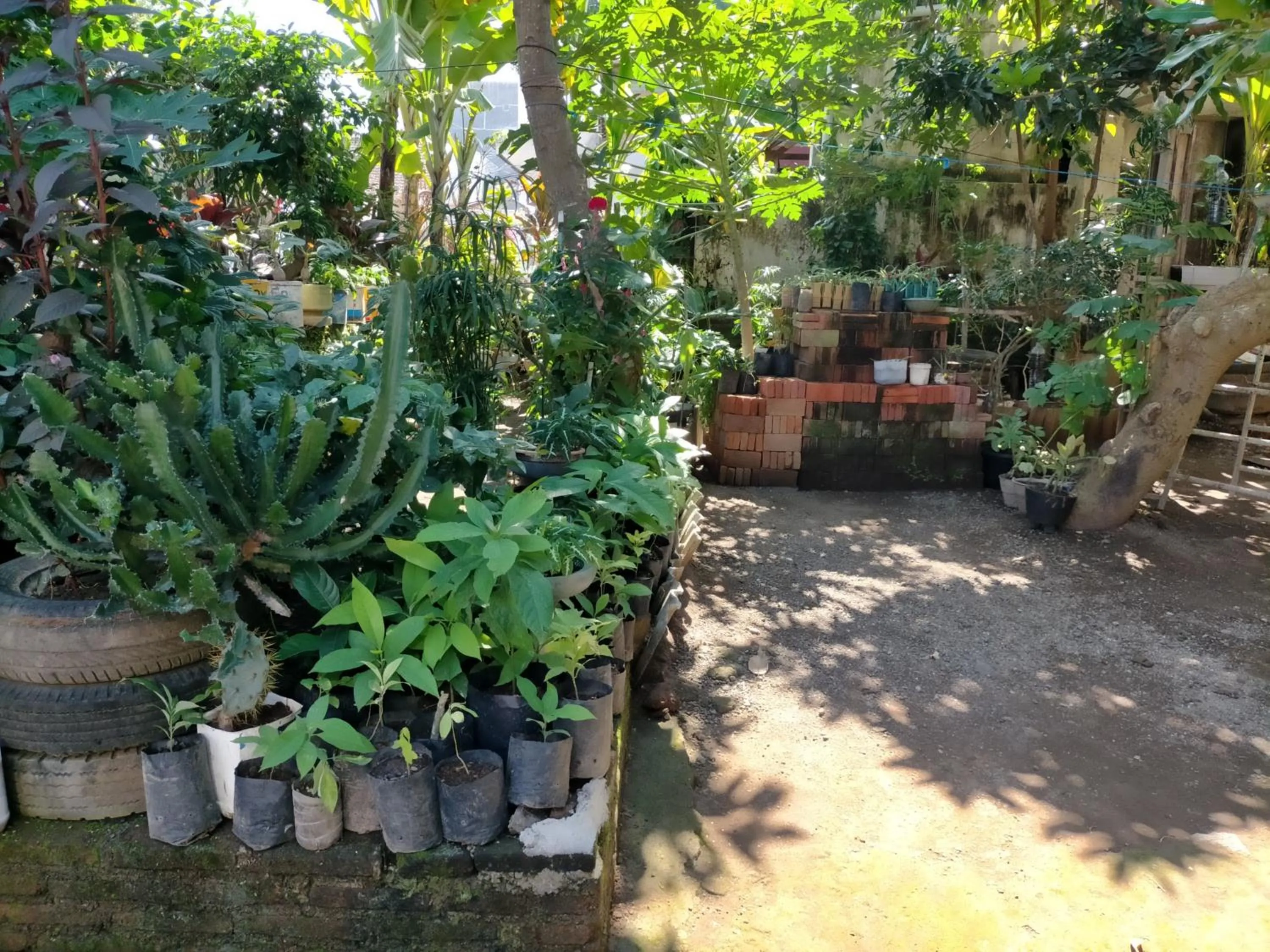 Garden in Kendang Kempul Hostel