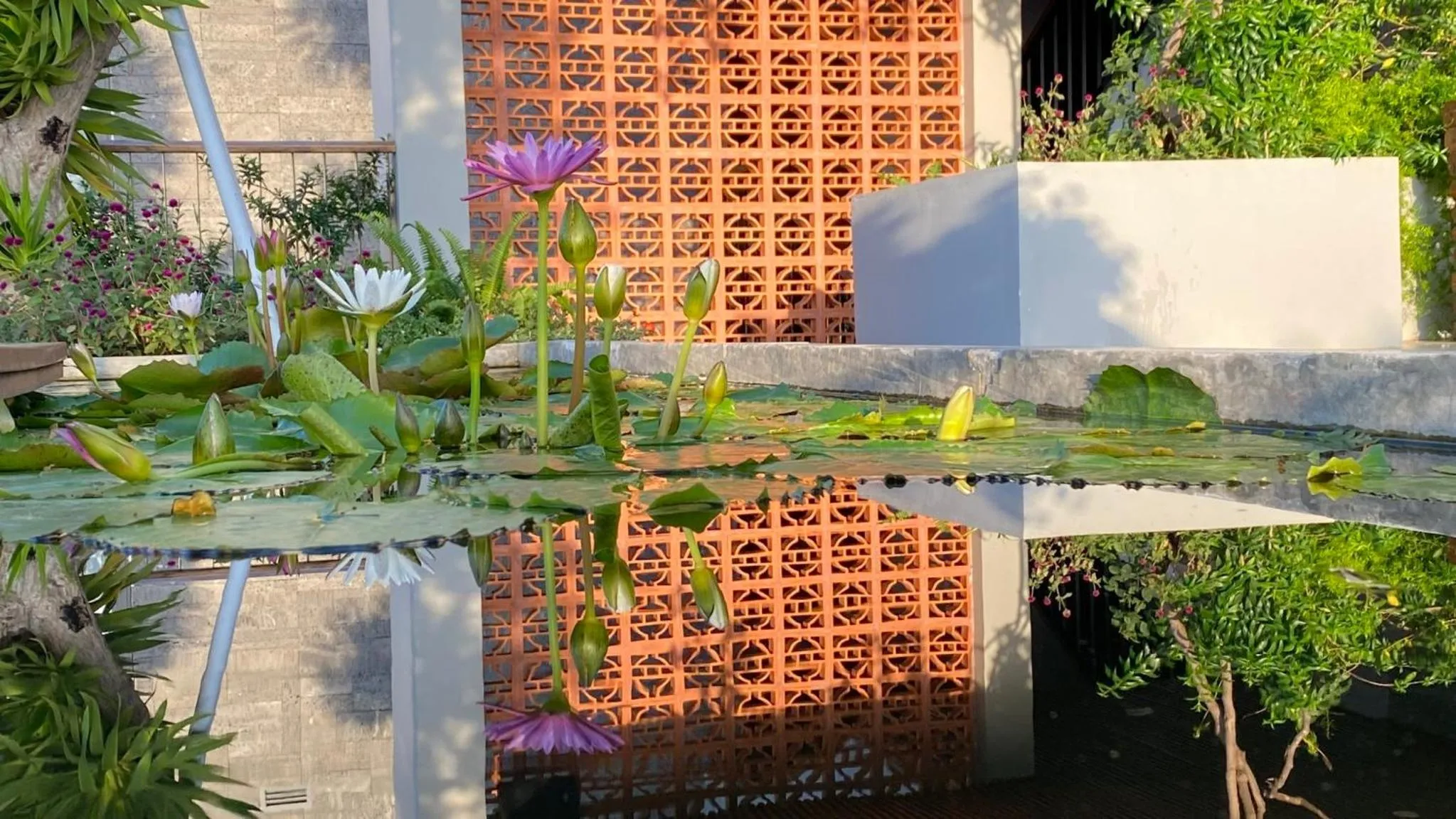 Natural landscape in VernalHome Boutique Danang