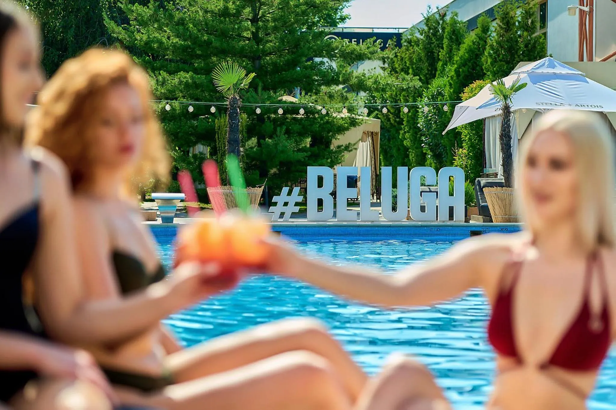 Pool view in Hotel Terra Balneo