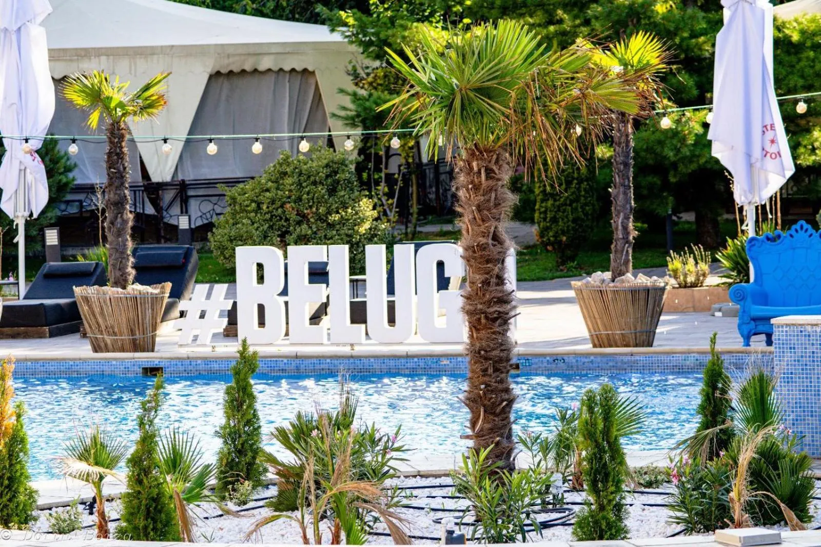 Swimming pool in Hotel Terra Balneo