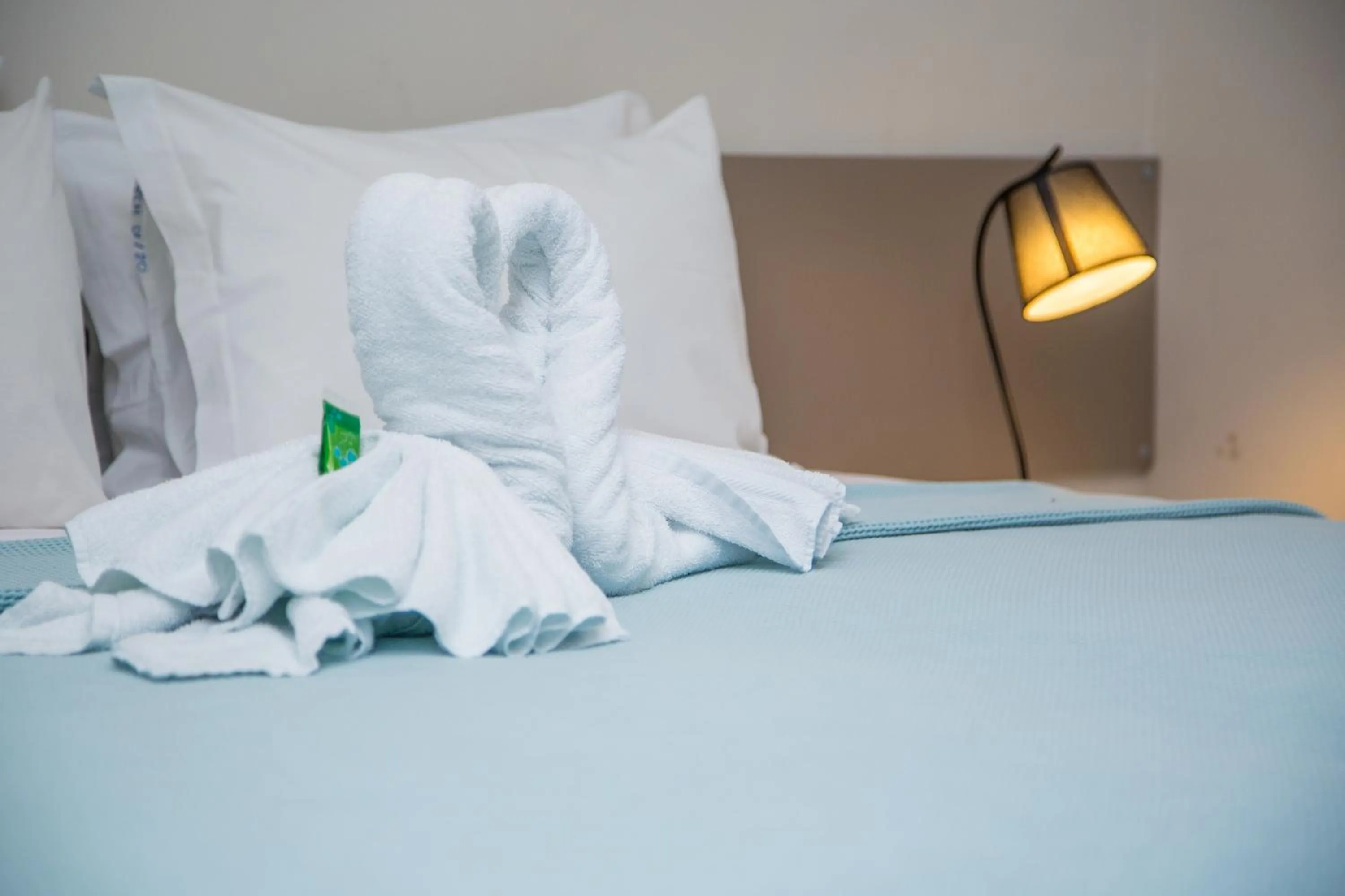 Bed in Hotel e Pousada Flor do Juá