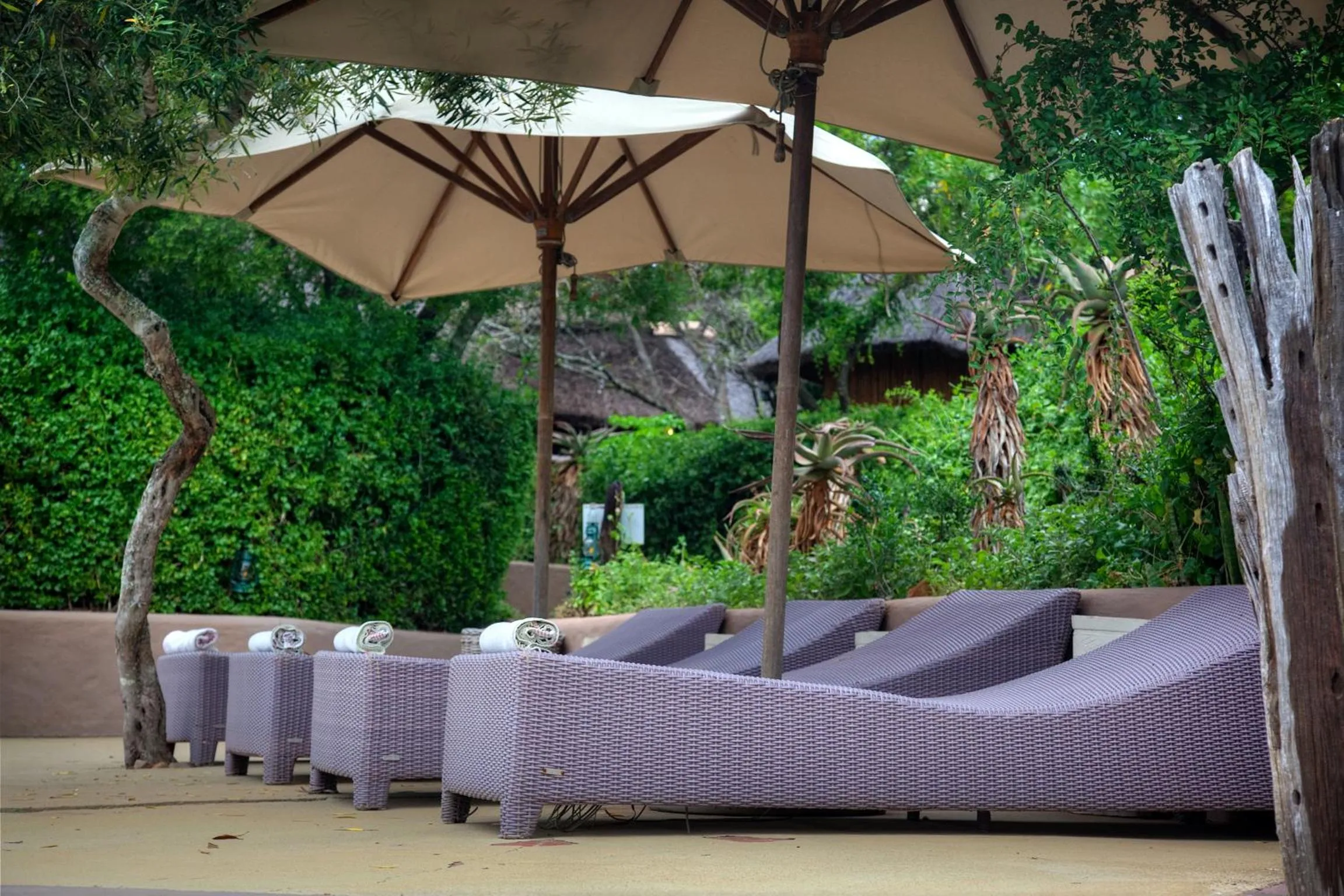 Swimming pool in Safari Lodge - Amakhala Game Reserve