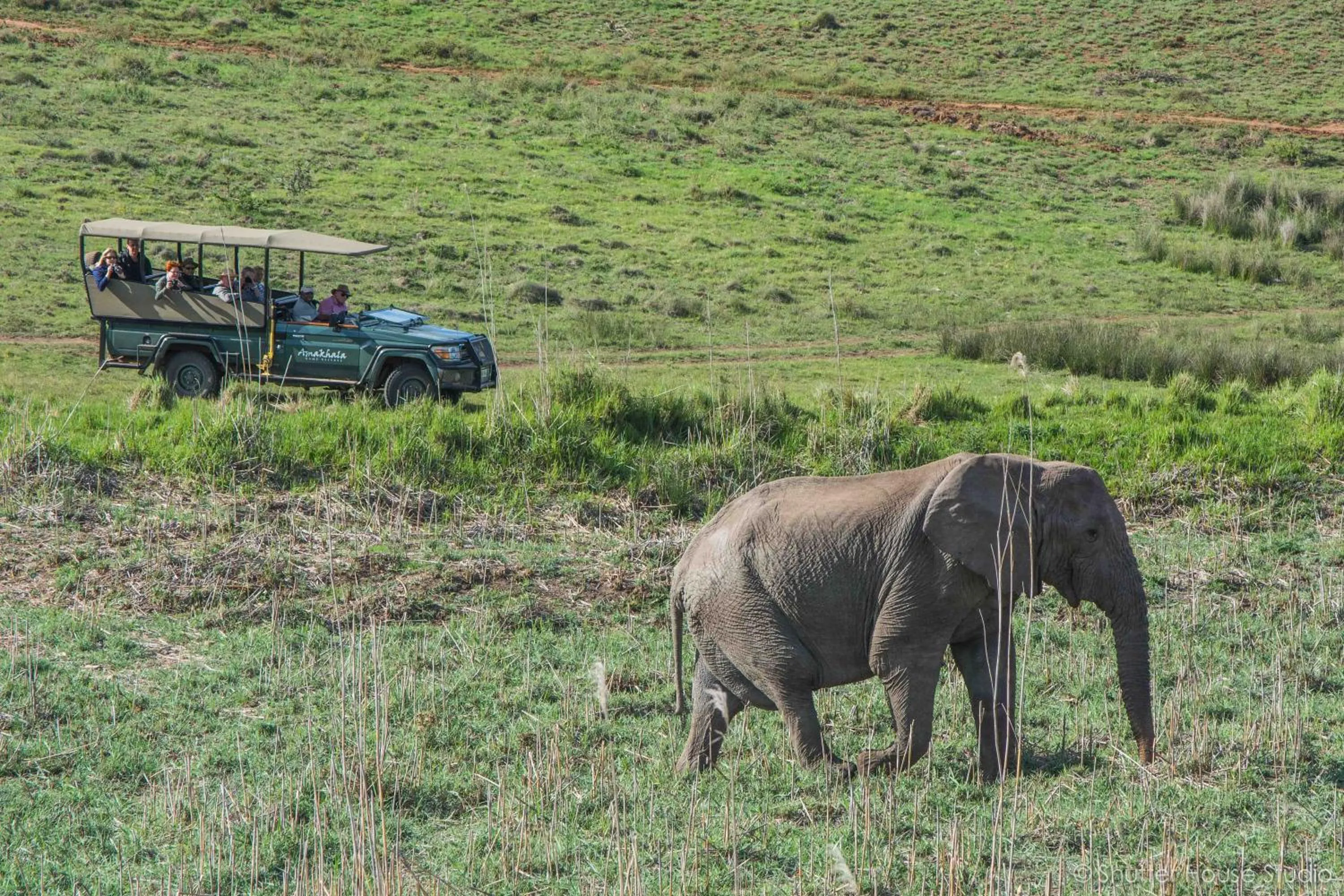 Activities in Safari Lodge - Amakhala Game Reserve