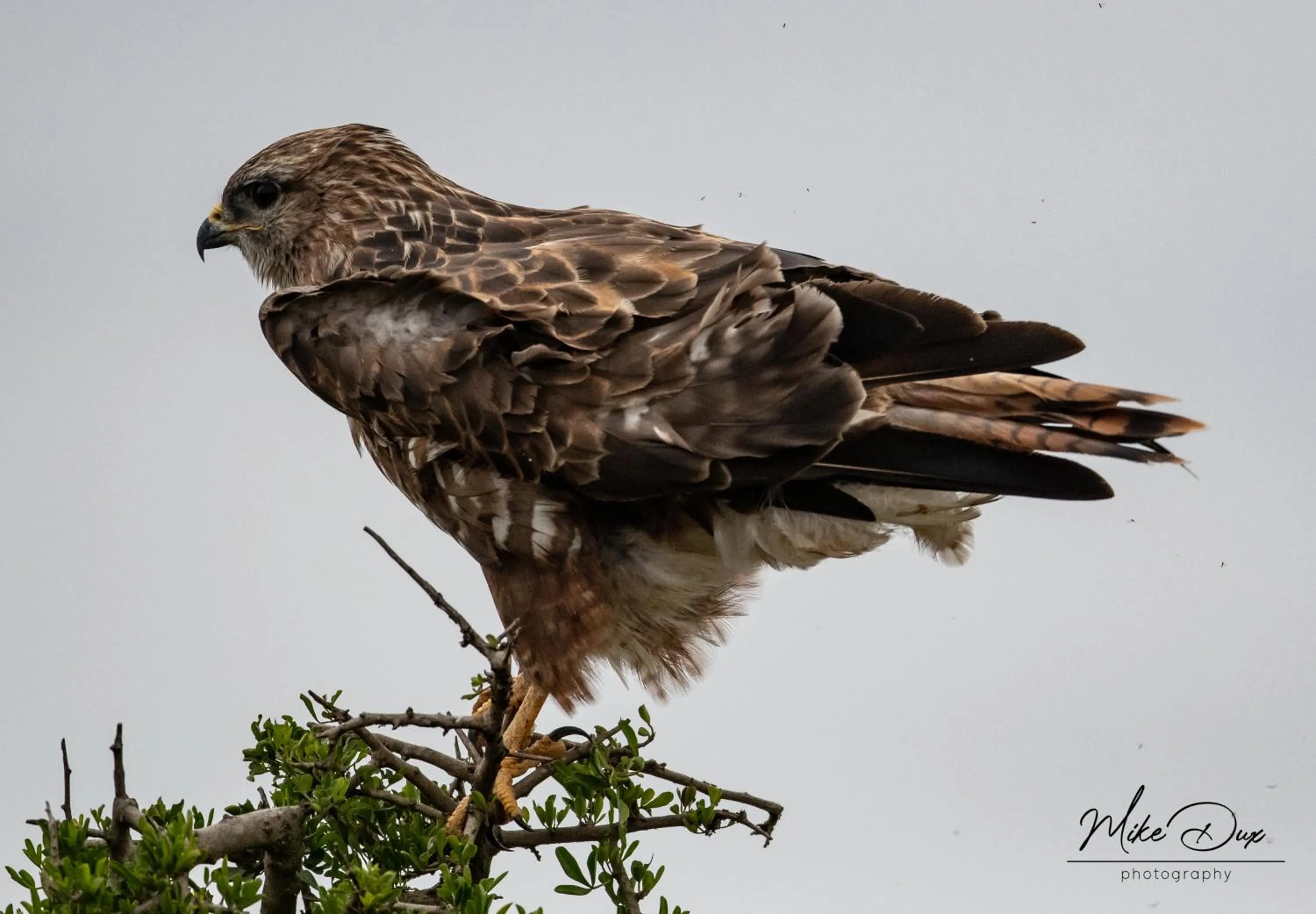 Activities in Safari Lodge - Amakhala Game Reserve