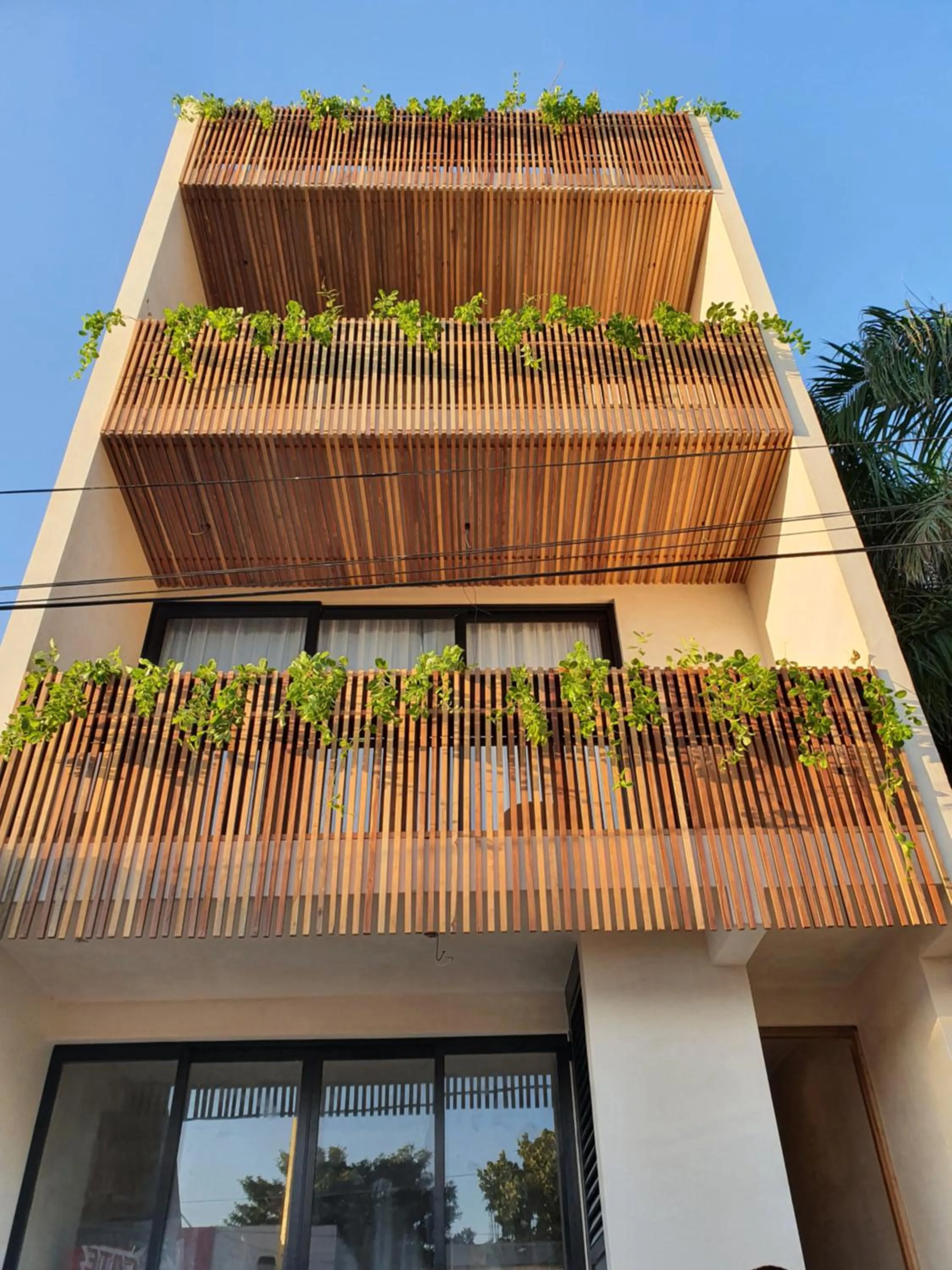 Facade/entrance in Casa Peregrino Holbox