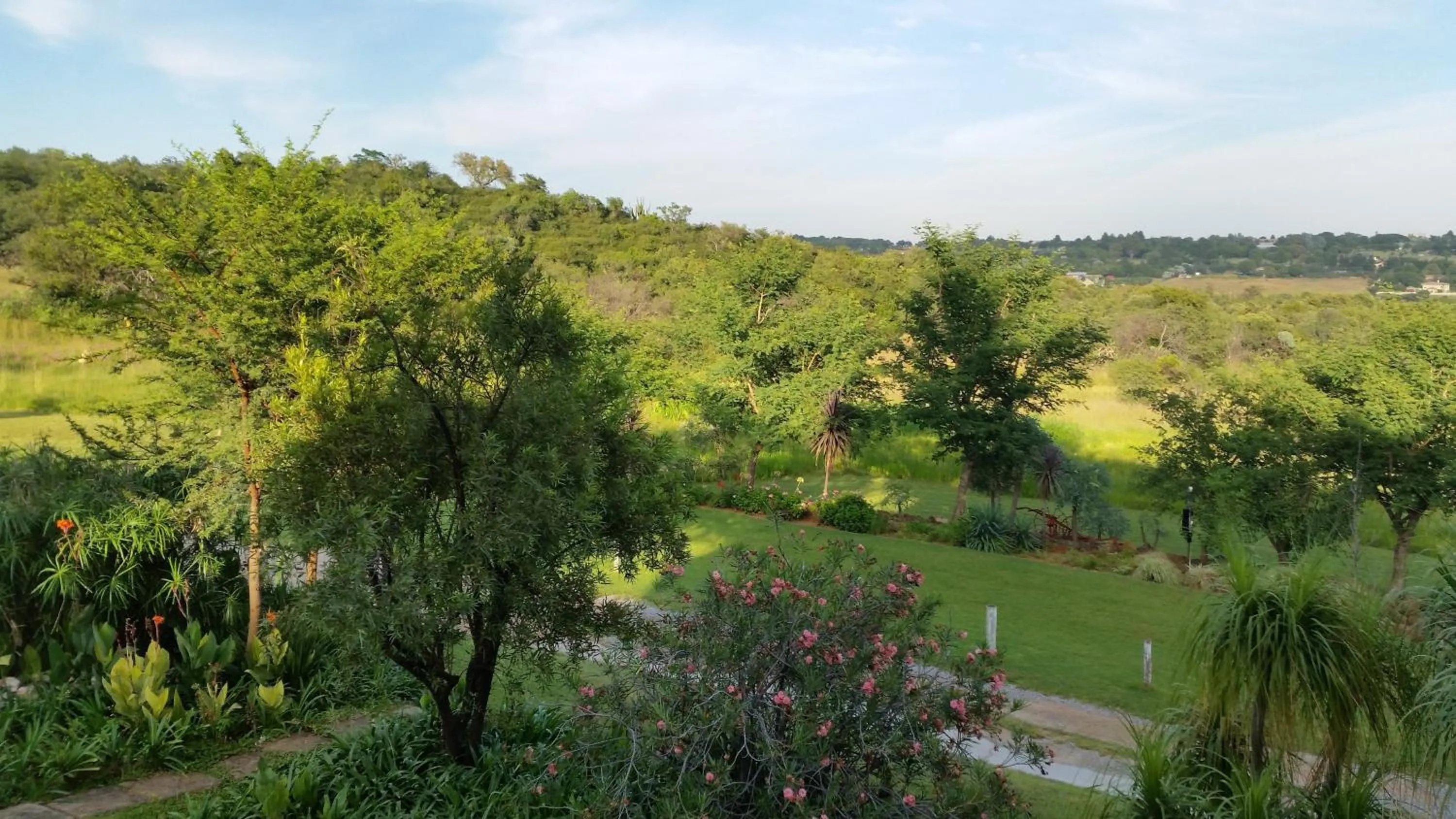 Garden in North Haven Country Estate