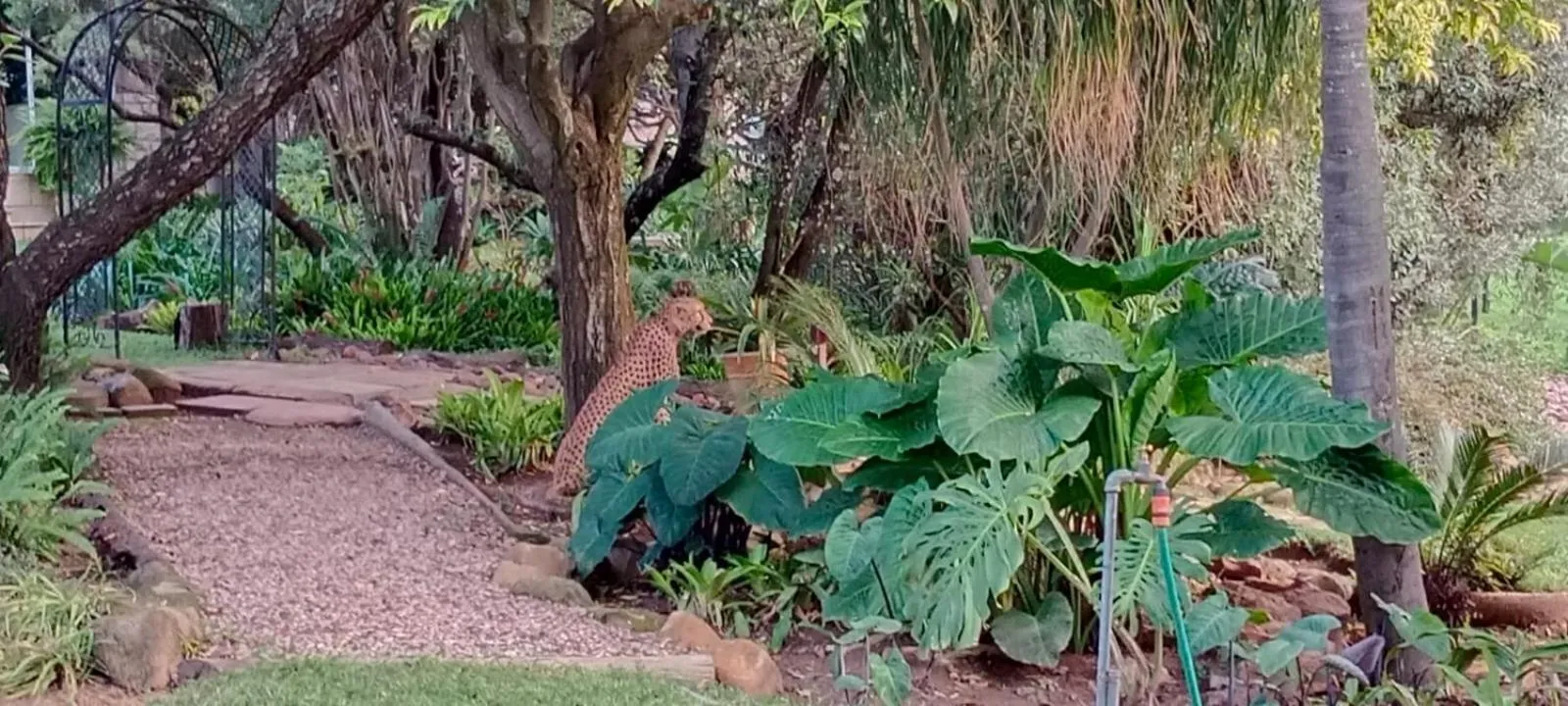 North Haven Country Estate