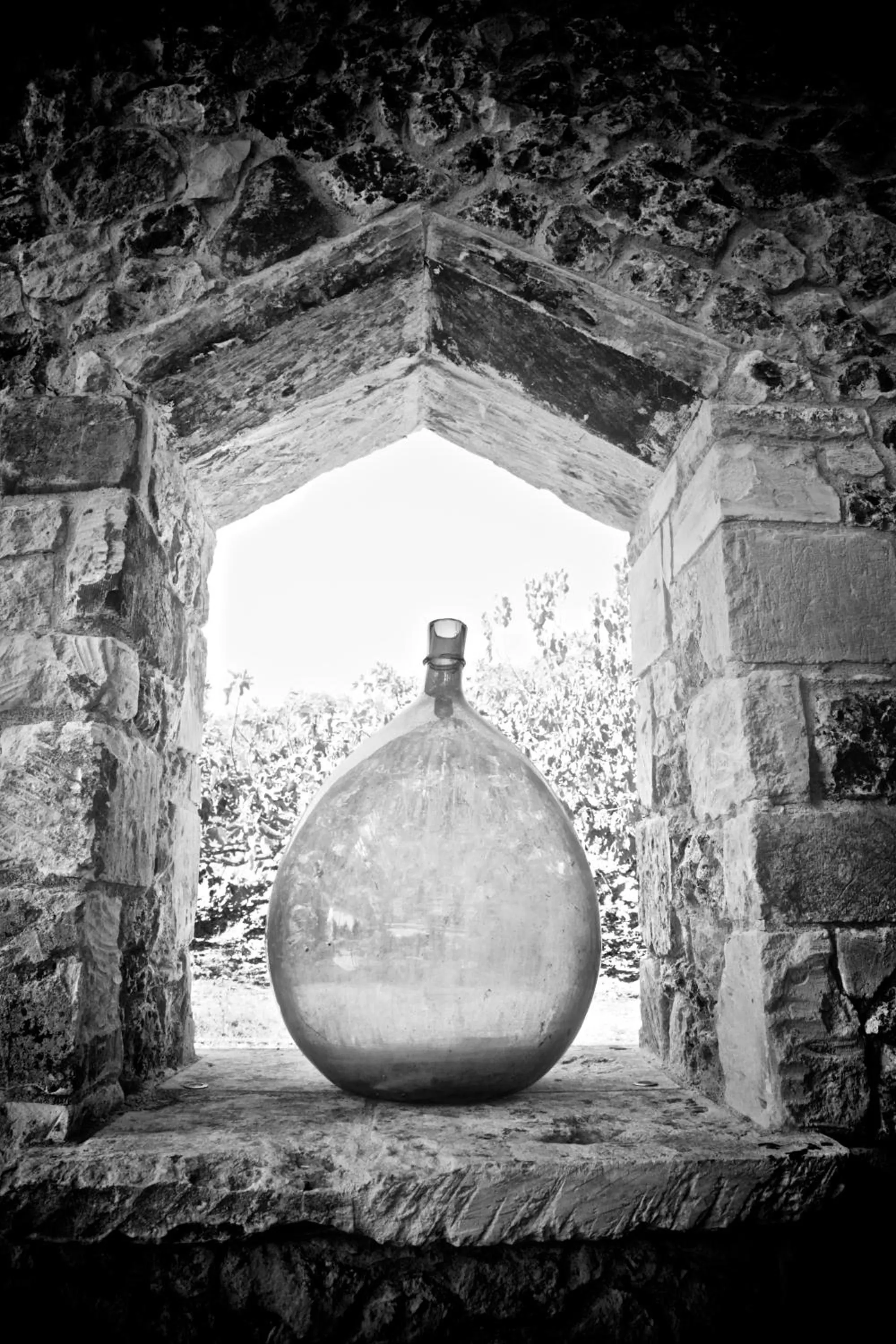 Lounge or bar in Naturalis Bio Resort