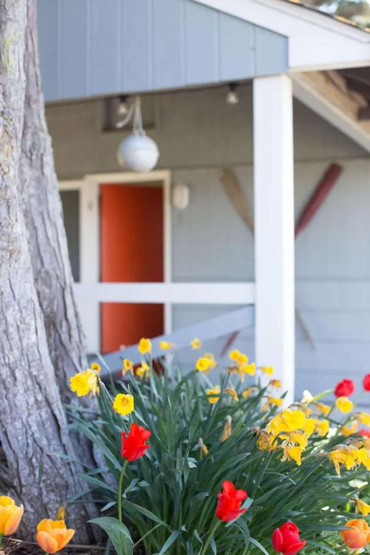 Dungeness Bay Cottages
