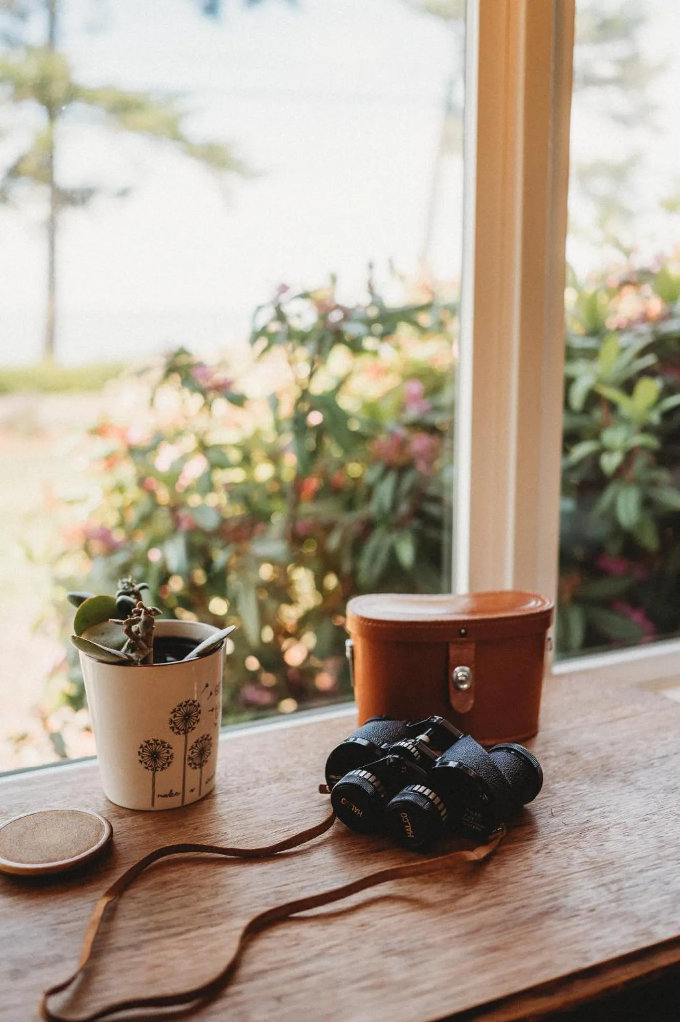 Dungeness Bay Cottages