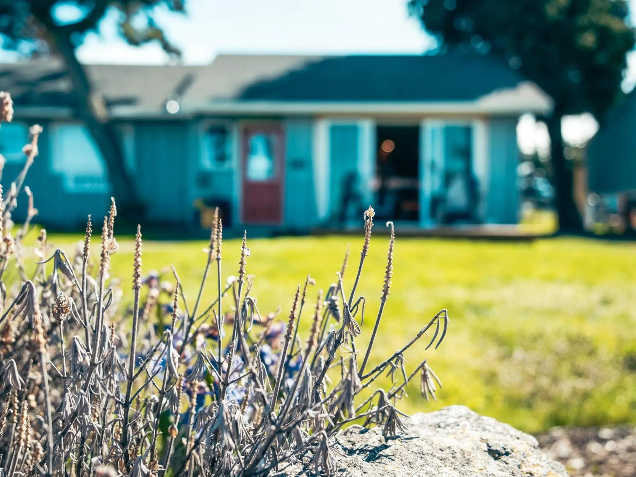 Dungeness Bay Cottages