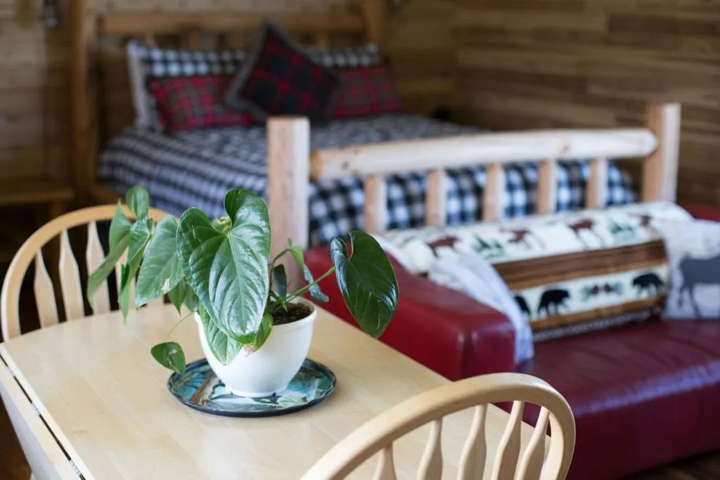 Dungeness Bay Cottages