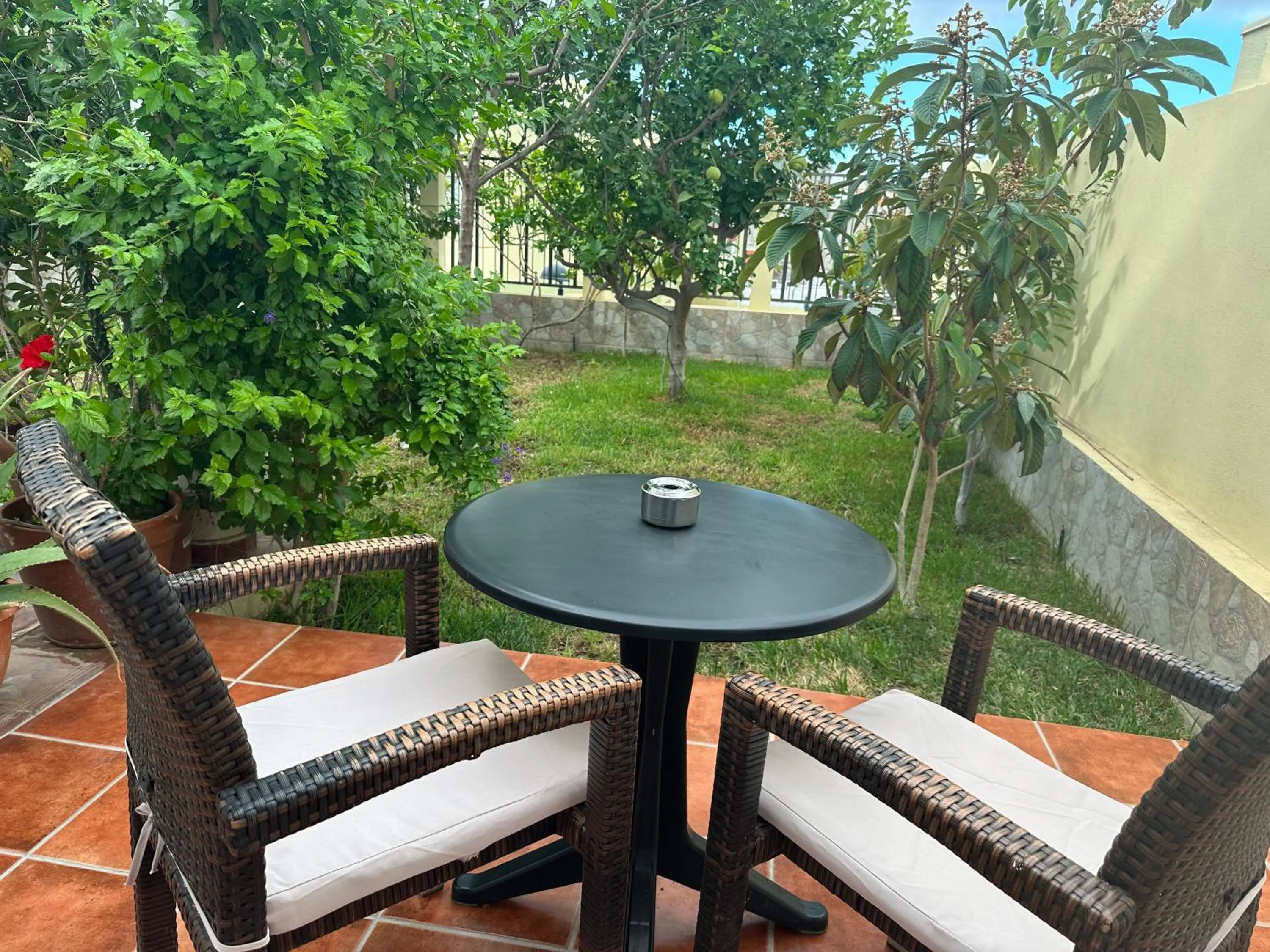 Garden in Villa 8 Islas