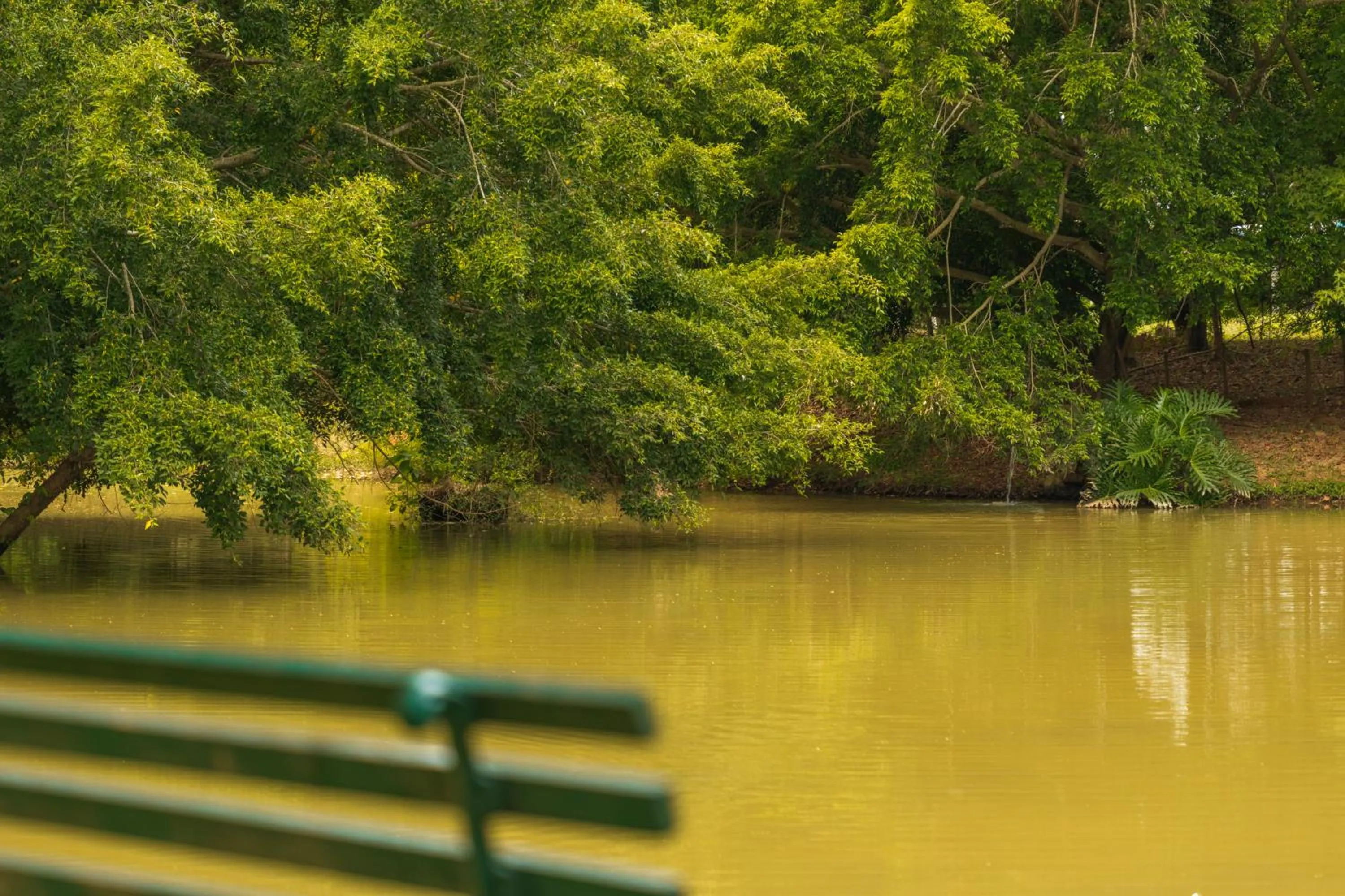 Lake view in Grinbergs Village Hotel