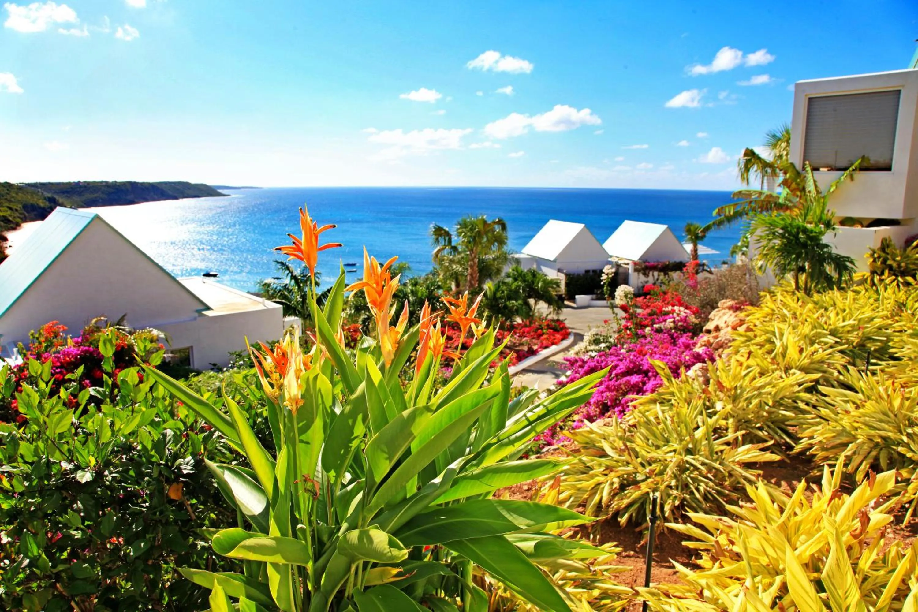 Property building in CeBlue Villas