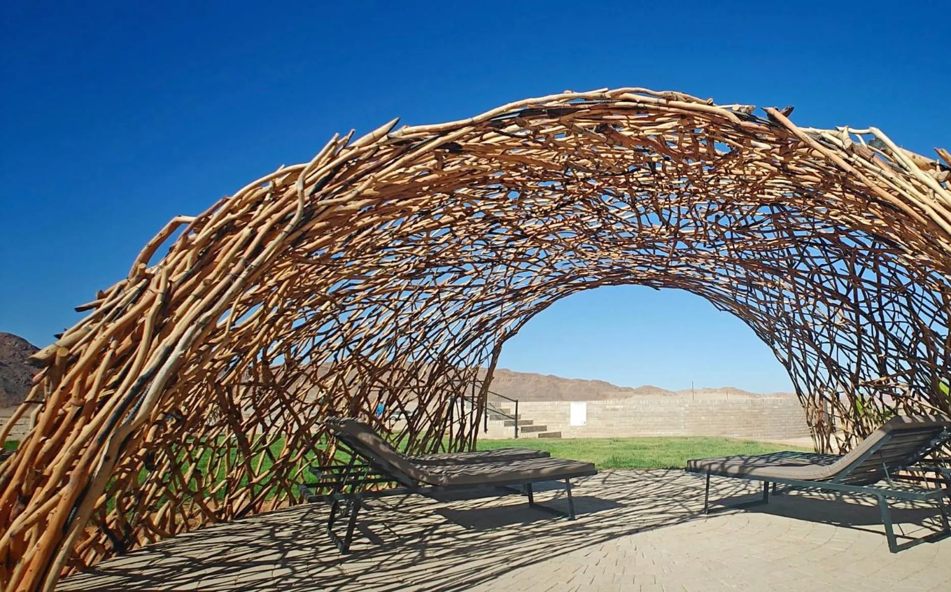 Pool view in Sossus Oasis Campsite