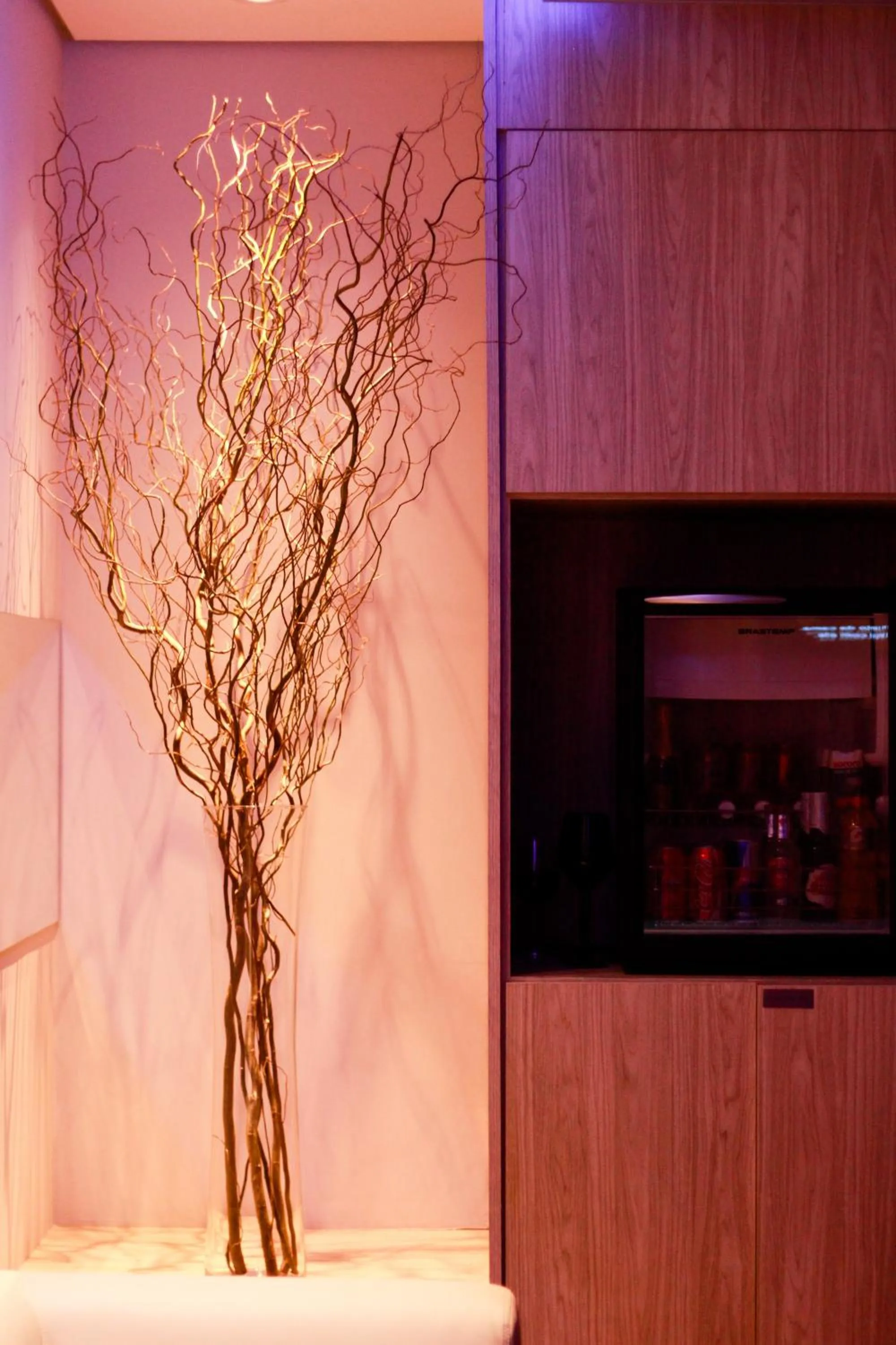 Alcoholic drinks in Lush Motel Ipiranga