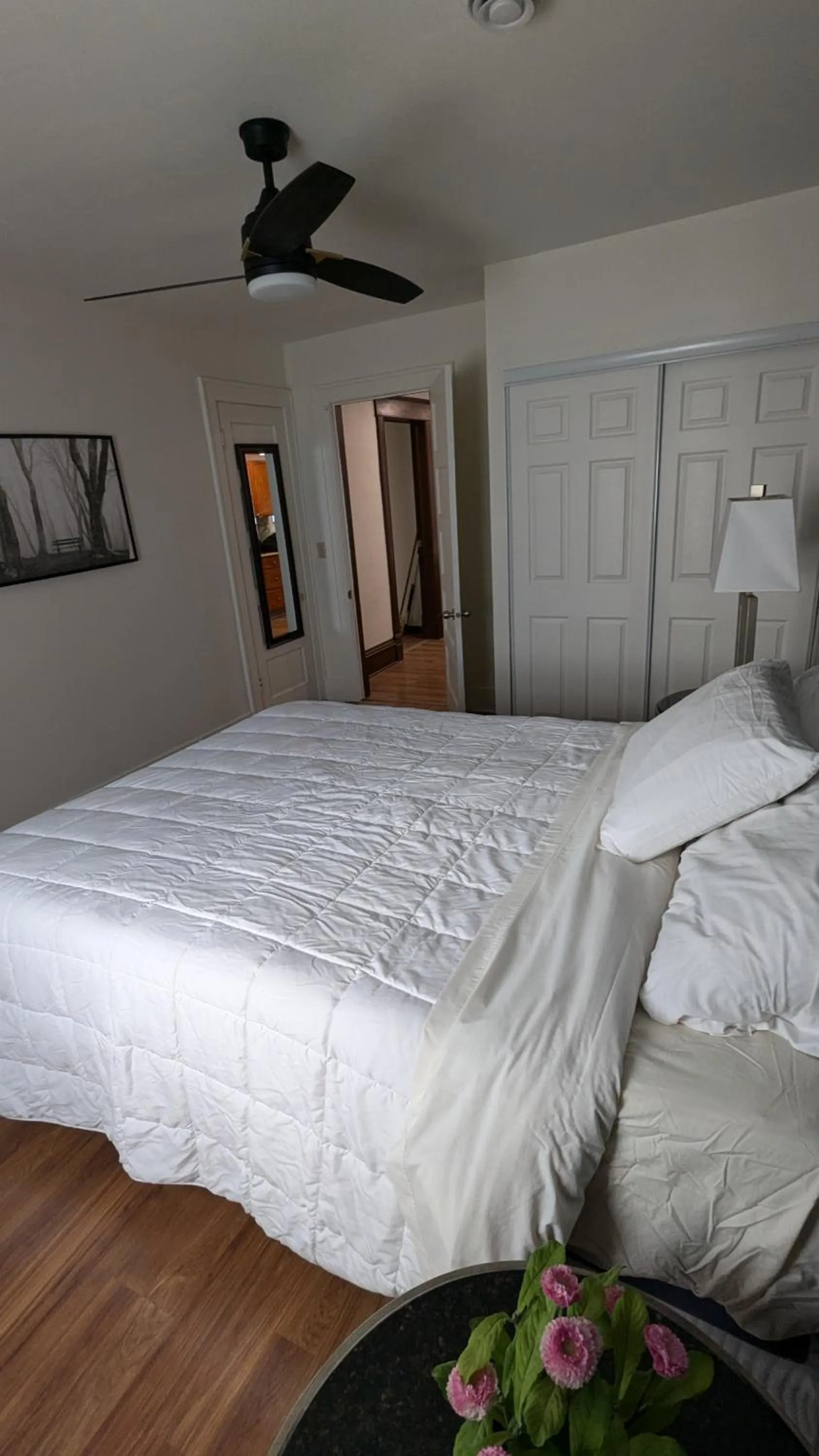 Bed in Koreana in Decorah