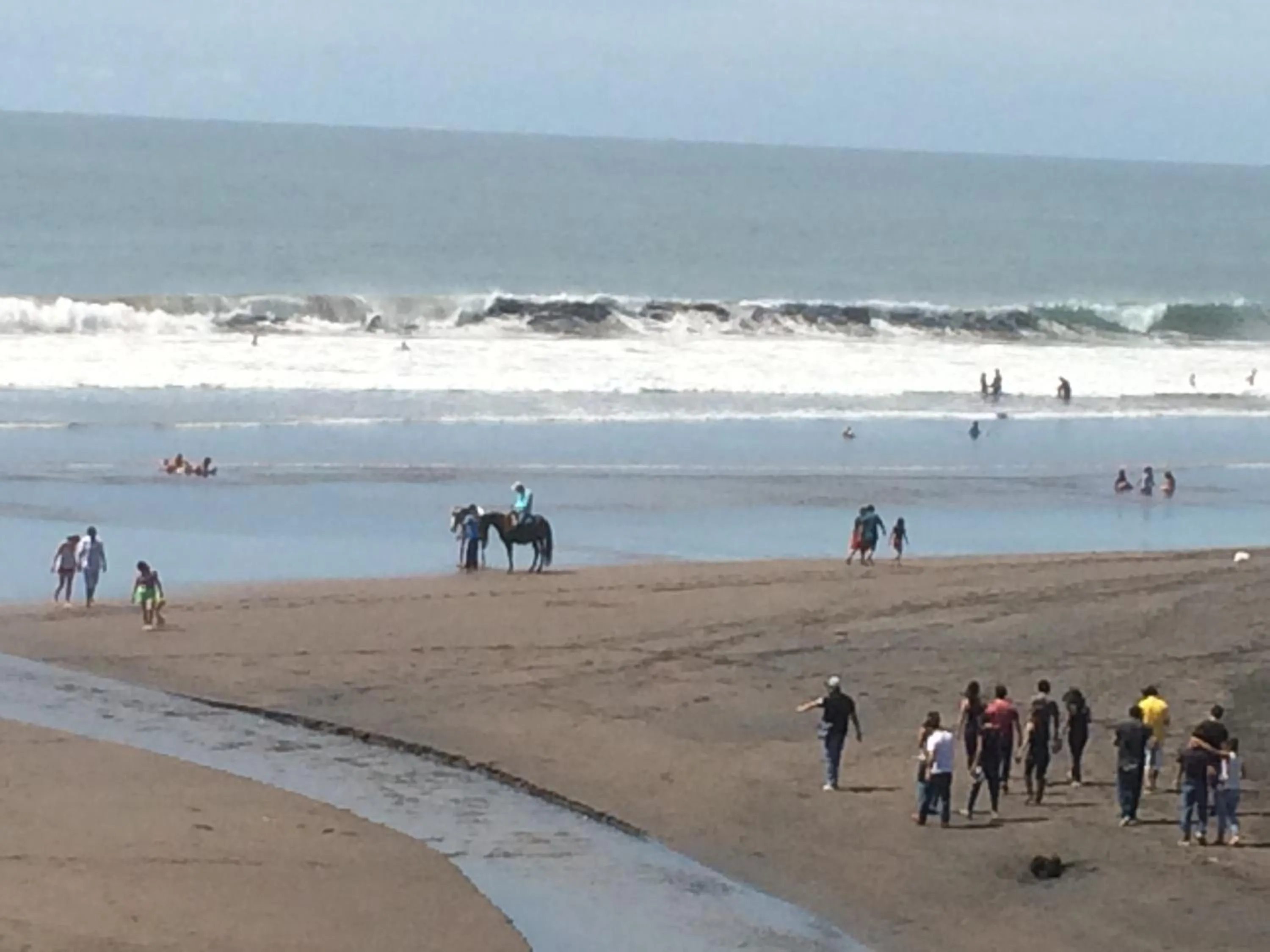 Area and facilities in Sabas Beach Resort