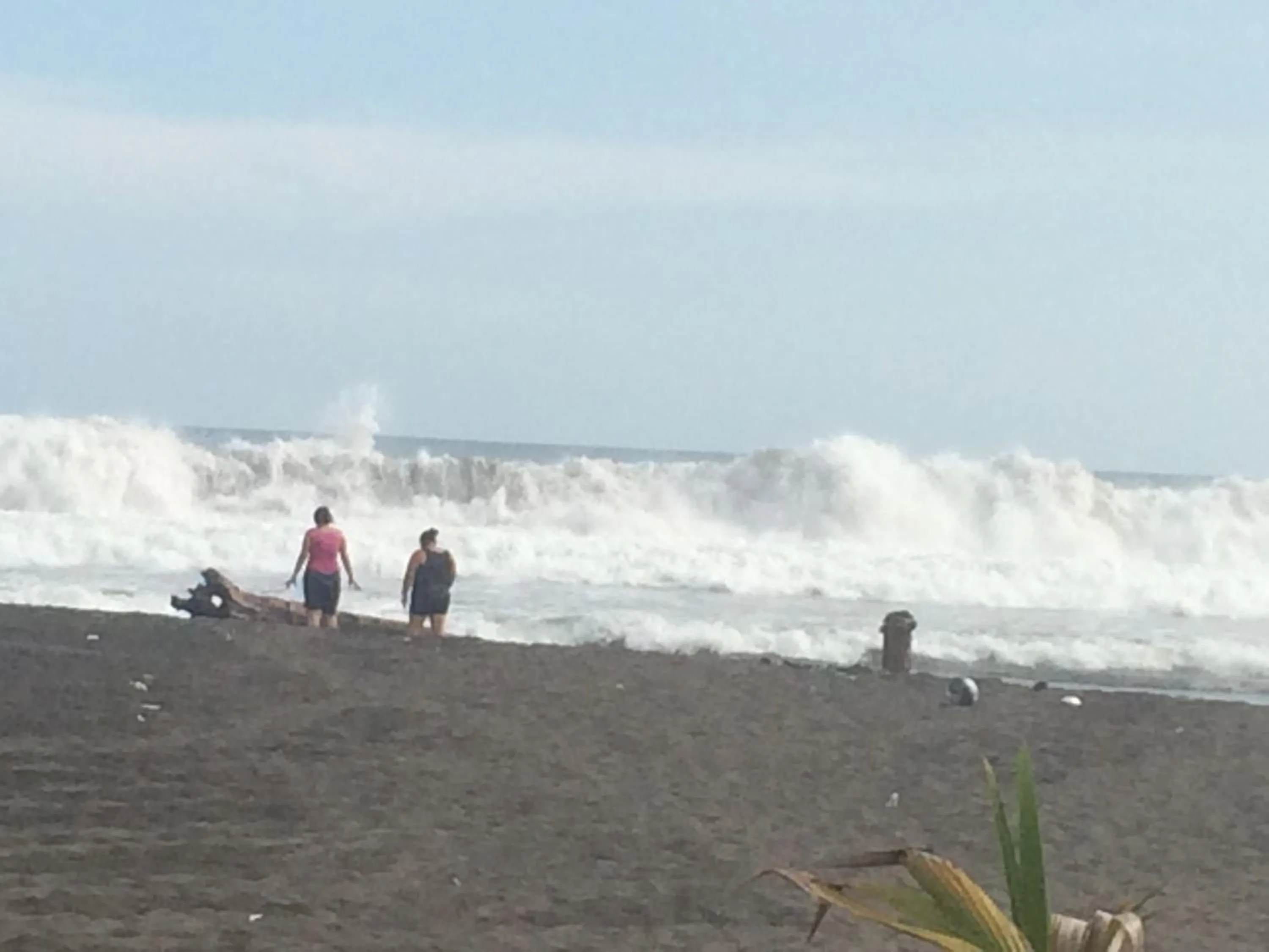 Beach in Sabas Beach Resort