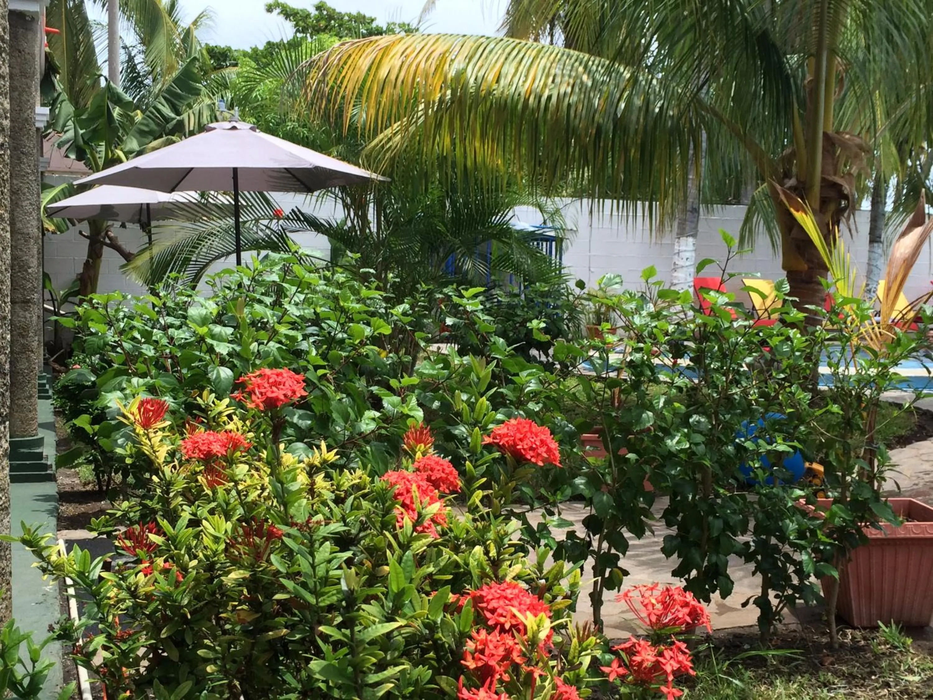 Garden in Sabas Beach Resort