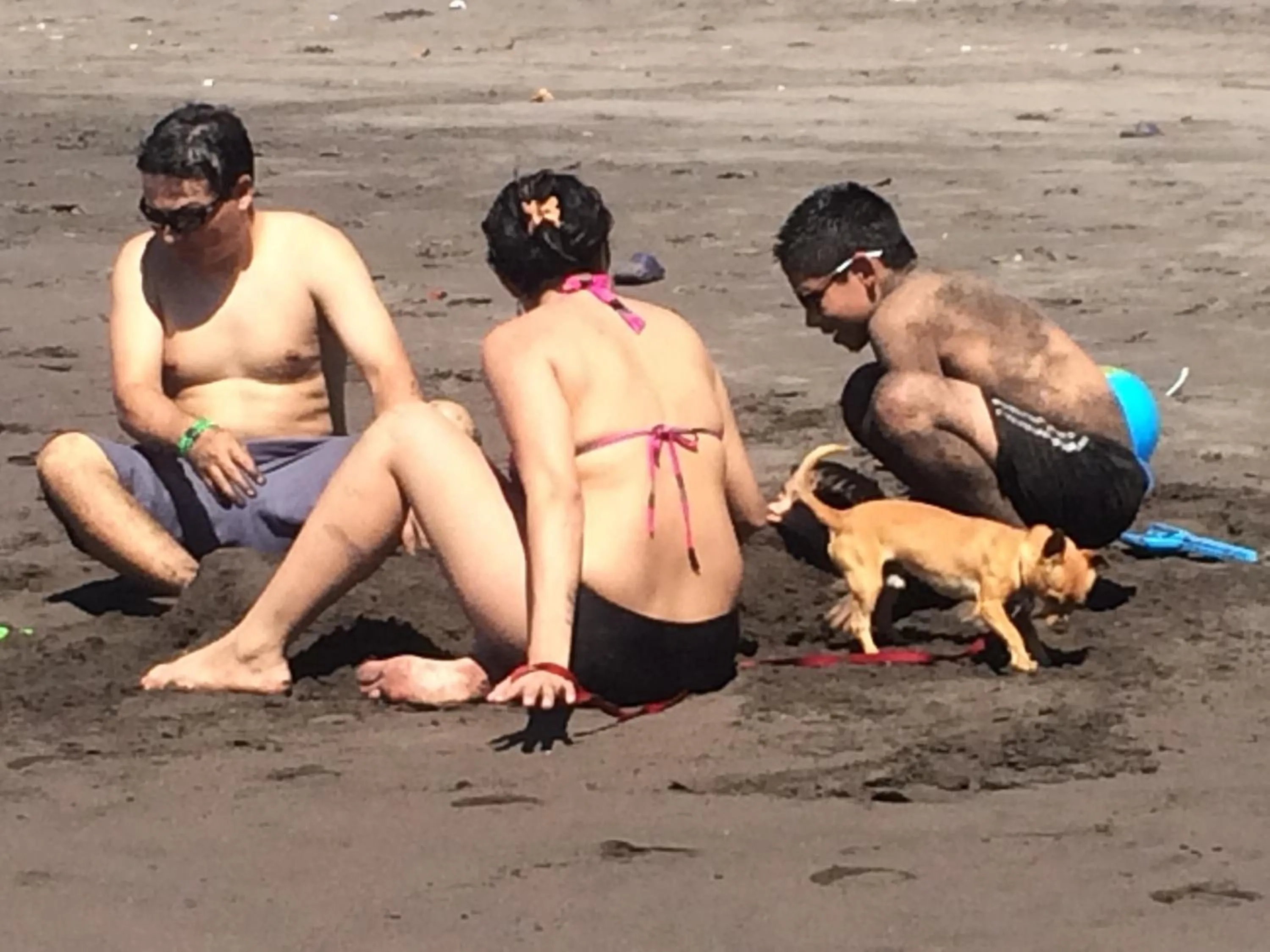 Beach in Sabas Beach Resort