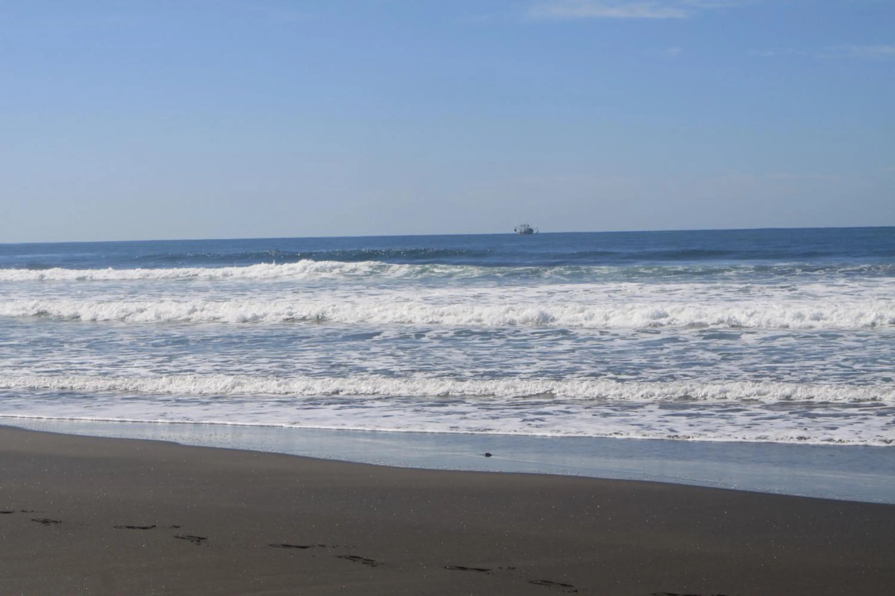 Area and facilities in Sabas Beach Resort