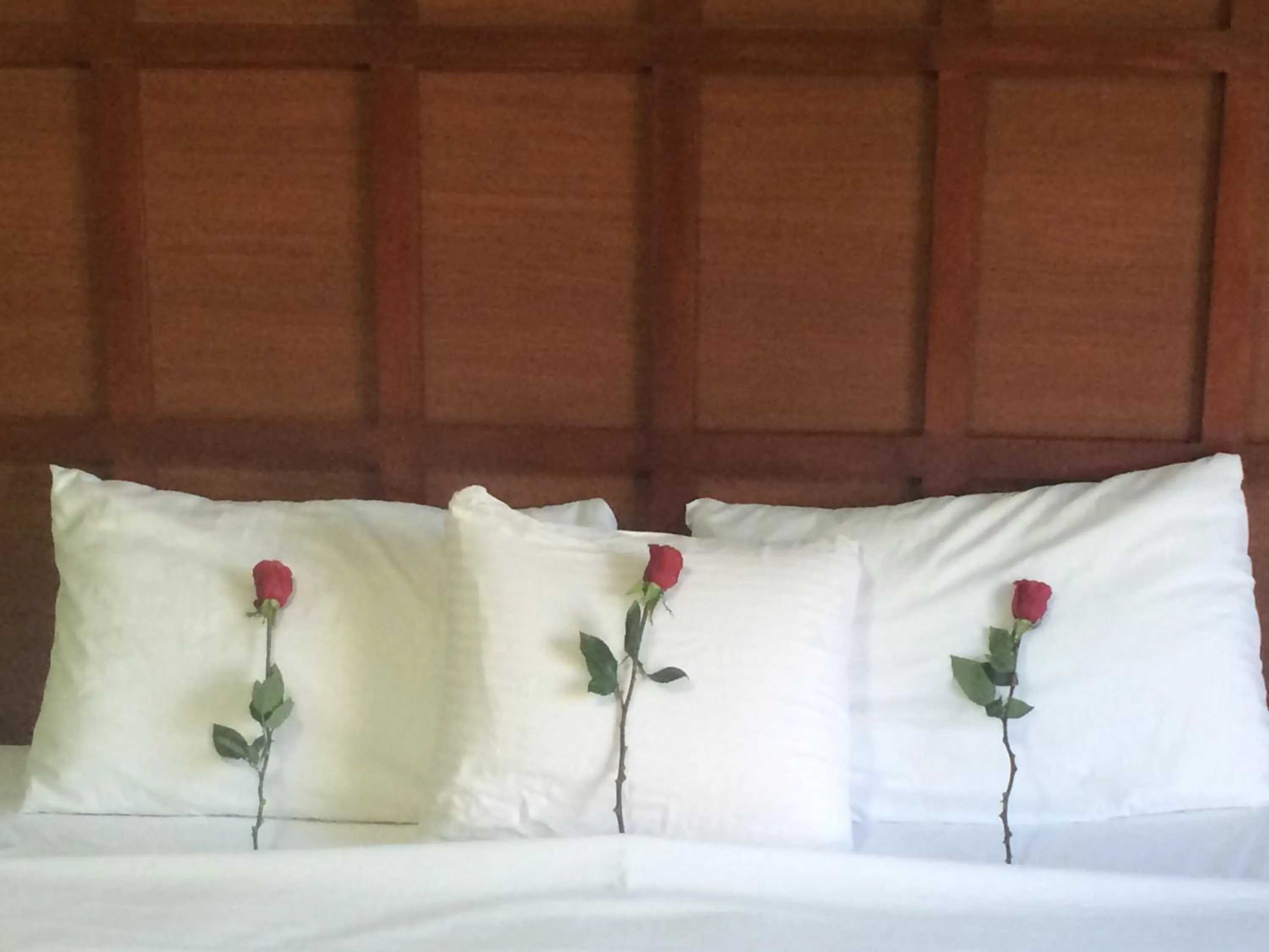 Bed in Sabas Beach Resort