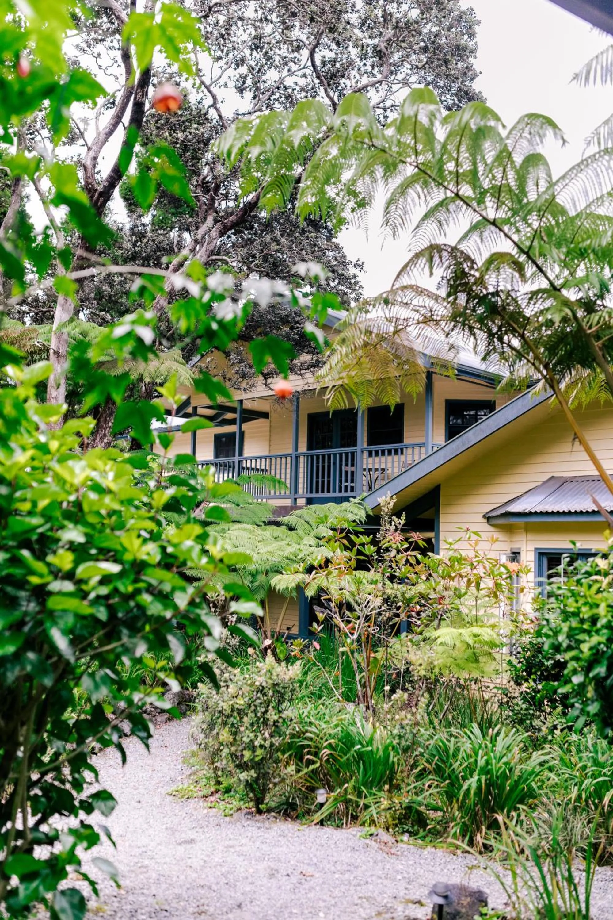 Garden in Kilauea Lodge and Restaurant