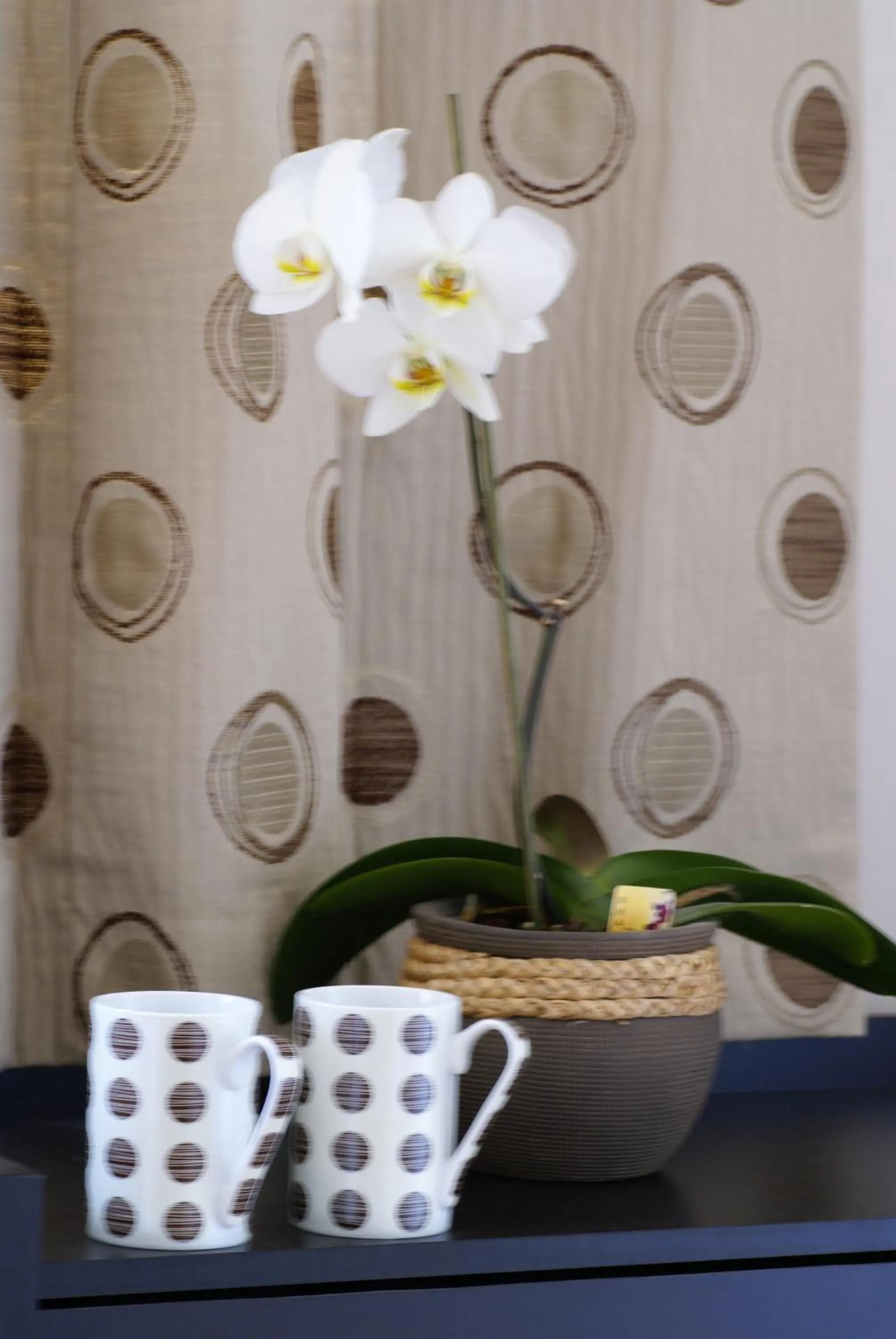 Coffee/tea facilities in Canal View Bed And Breakfast