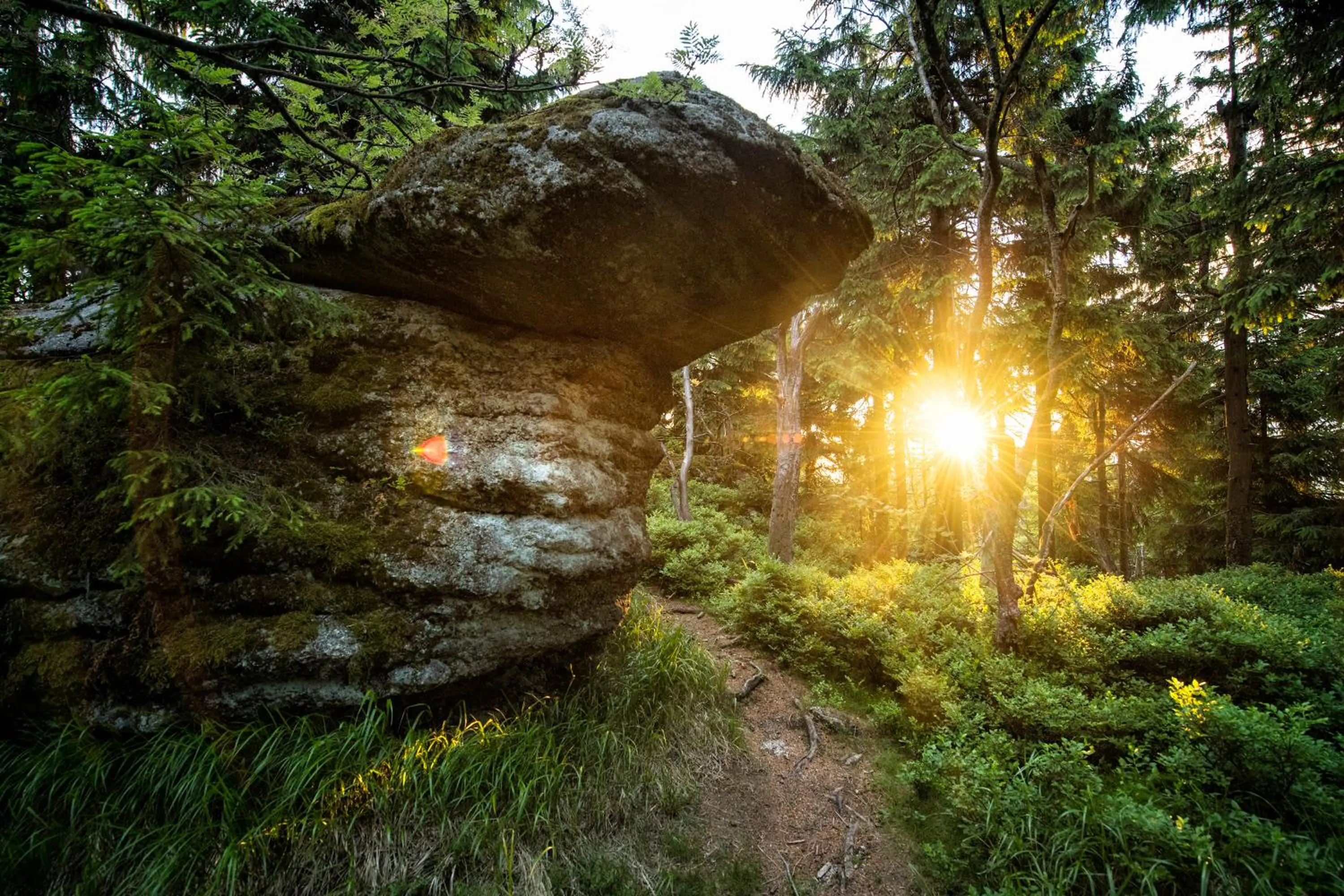 Hiking in Hotel Alexandersbad
