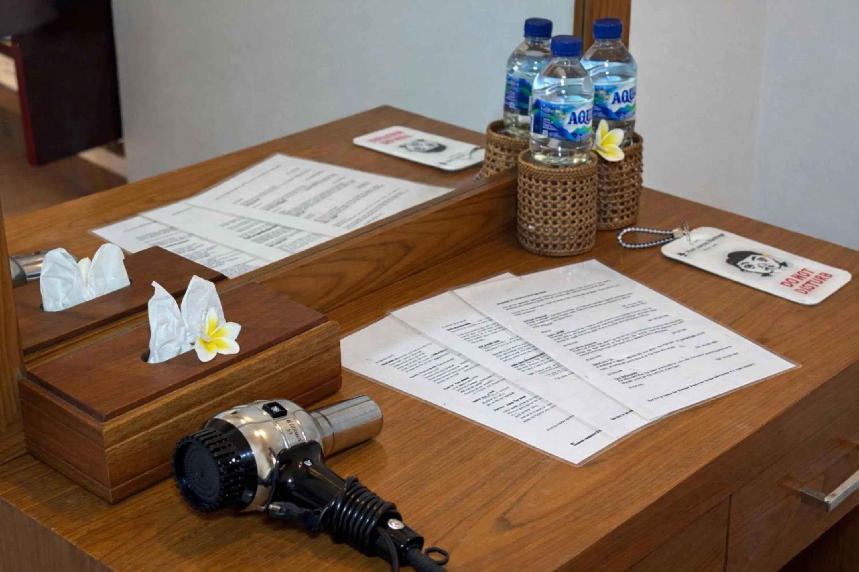 hair dryier in Puri Anyar Ubud