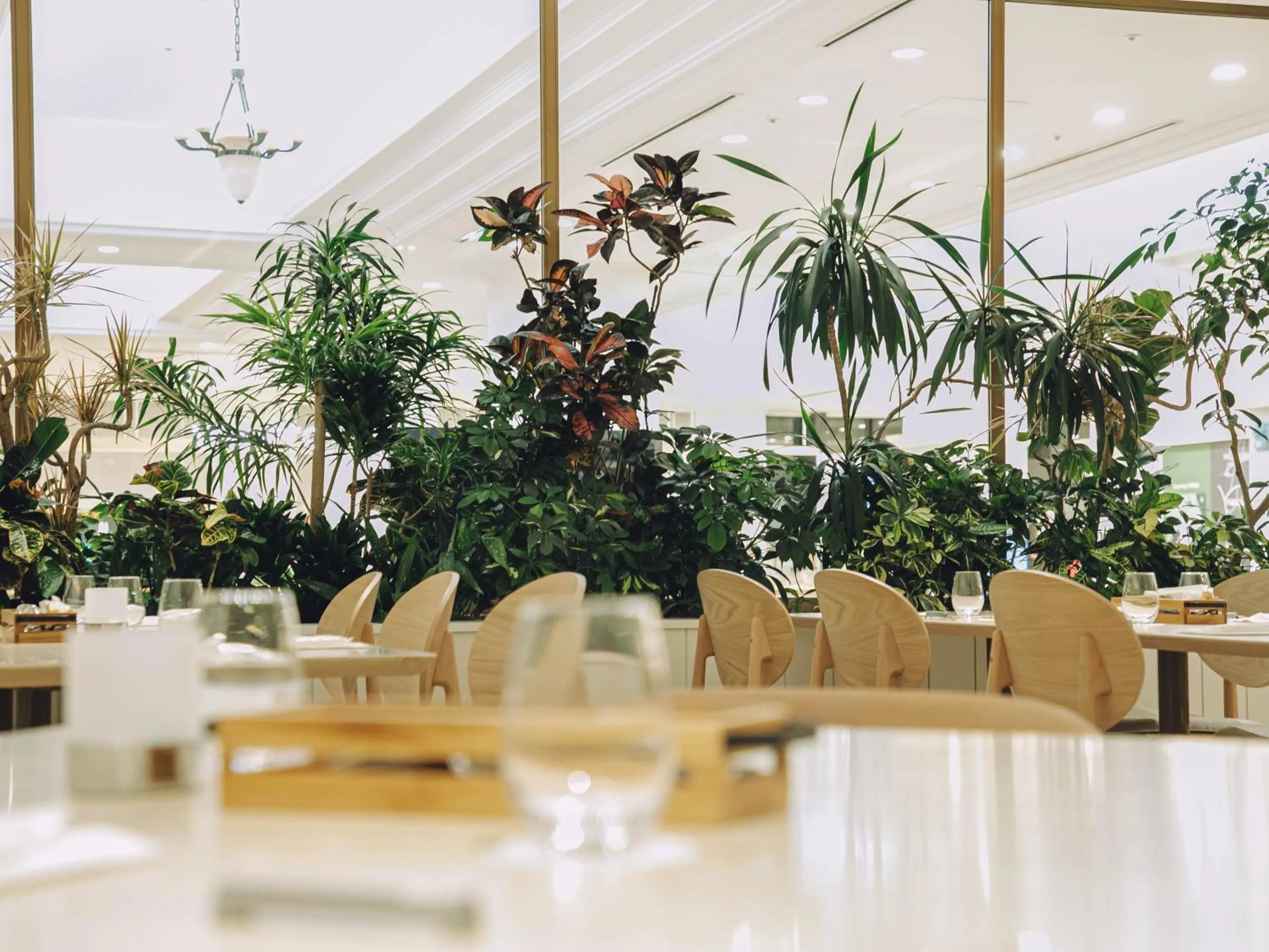 Restaurant/places to eat in Wishton Hotel Yukari