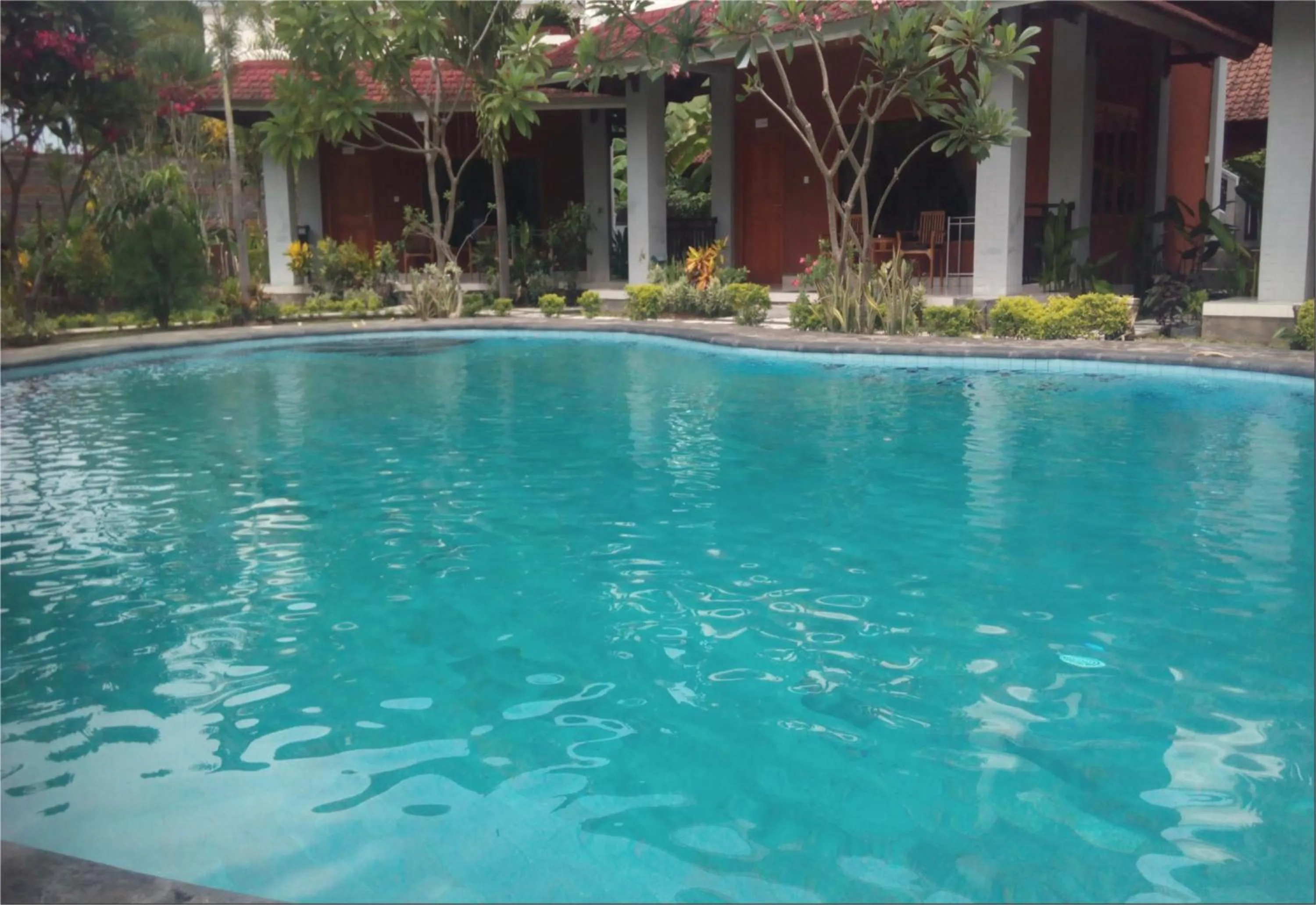 On site in Hotel My Lovina