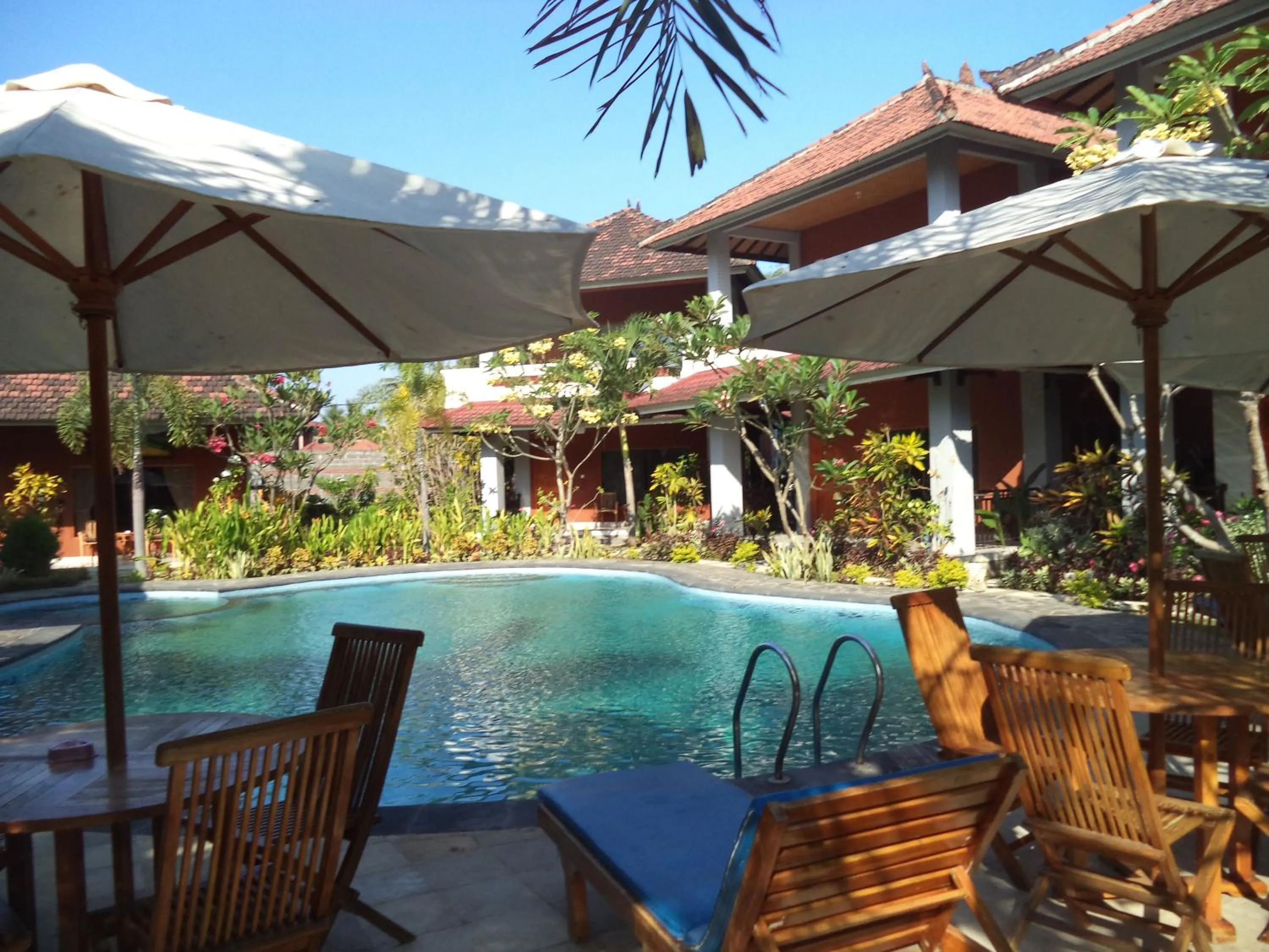 Swimming pool in Hotel My Lovina