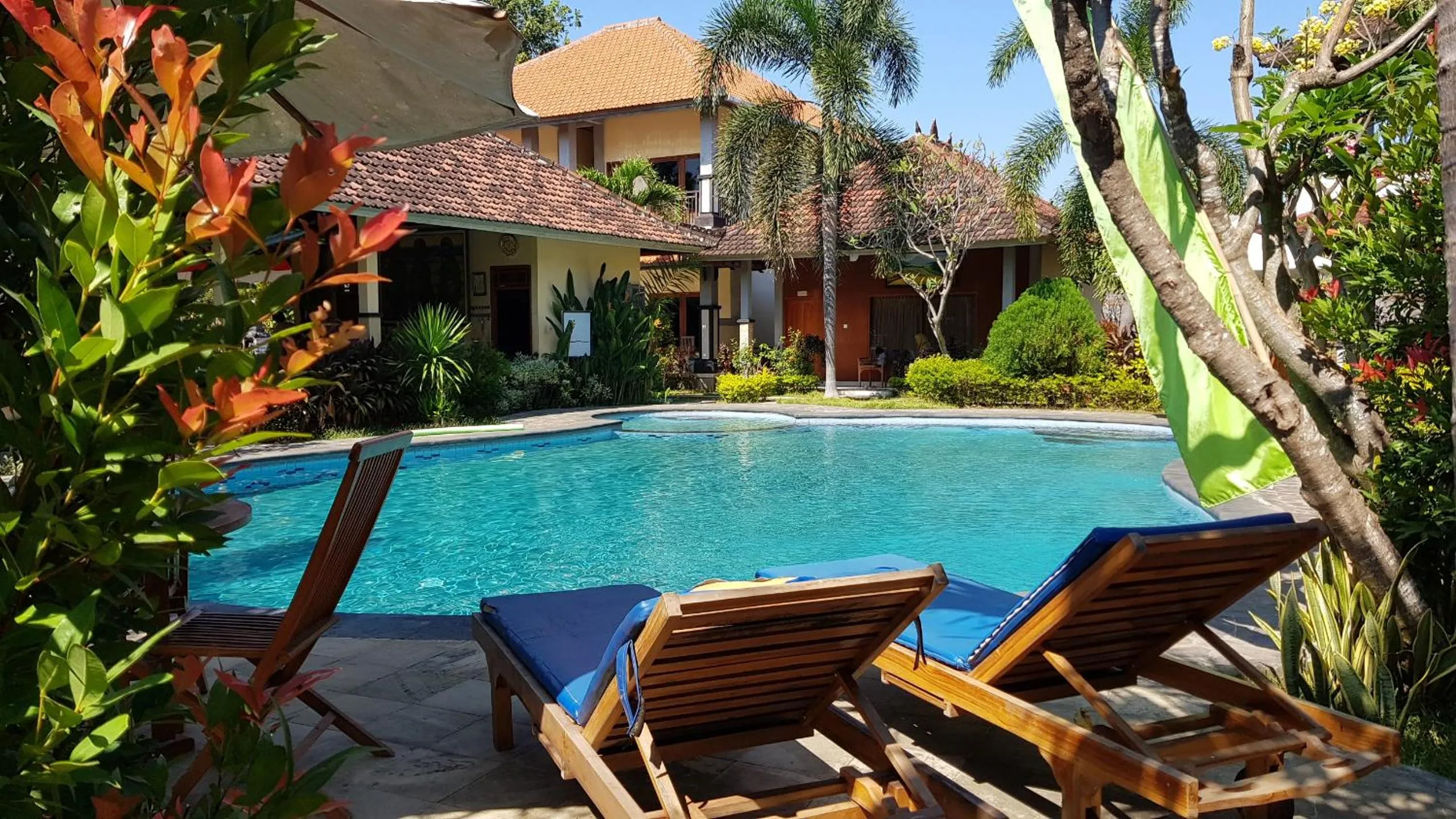 Swimming pool in Hotel My Lovina