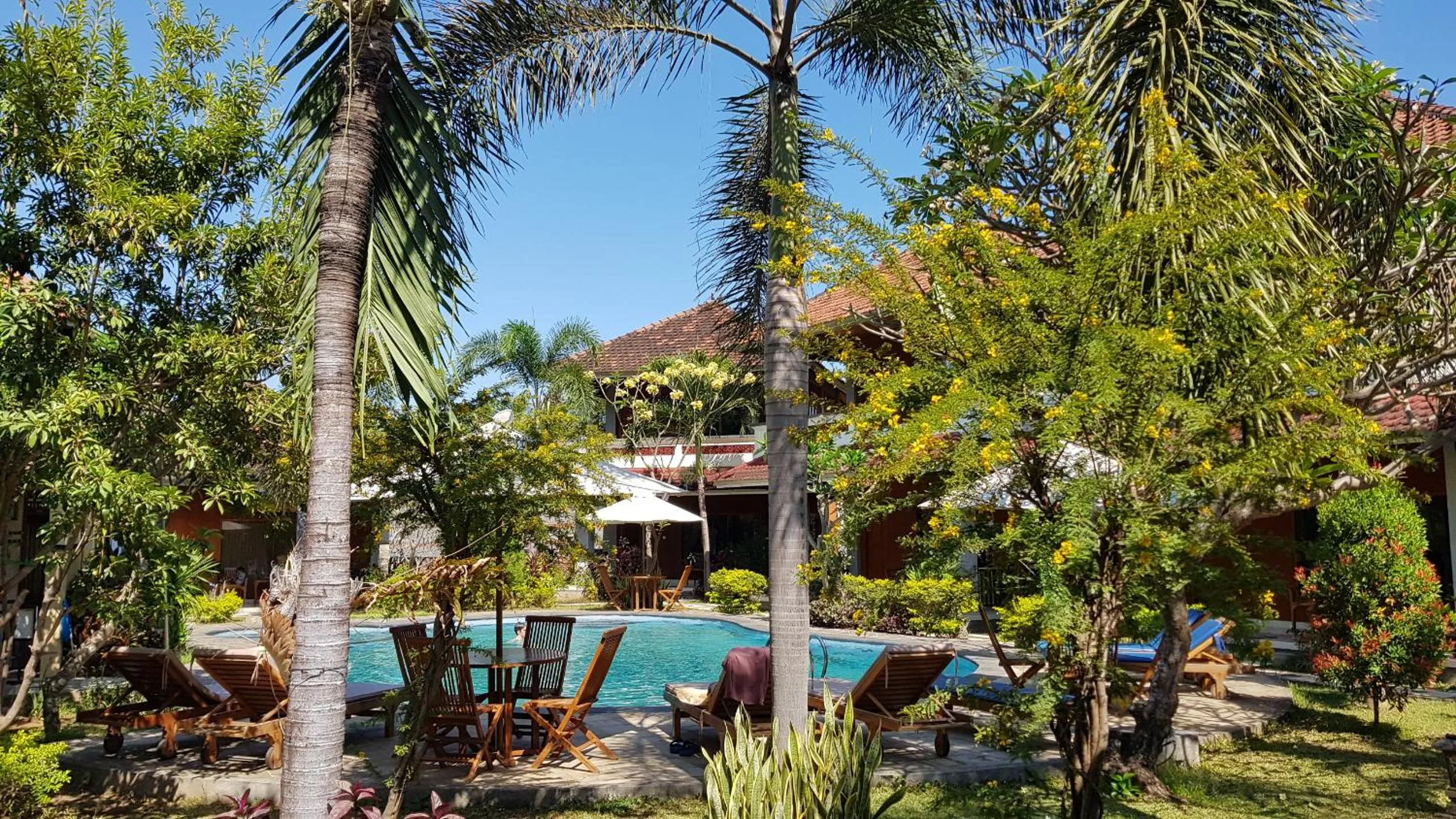 Swimming pool in Hotel My Lovina