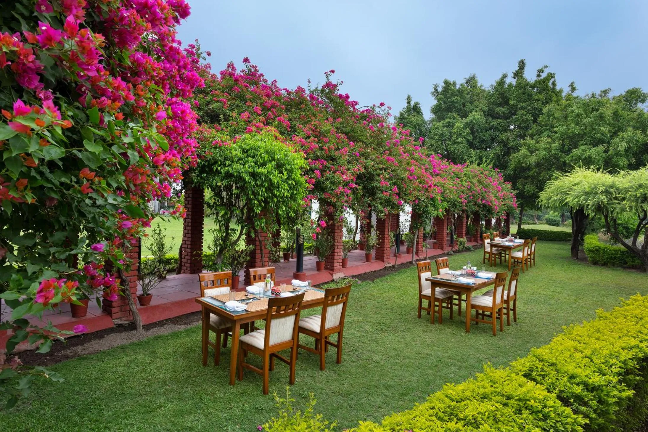 Breakfast in Naturoville Wellness Resort Rishikesh - Surrounded by Nature, Rooted in Wellness