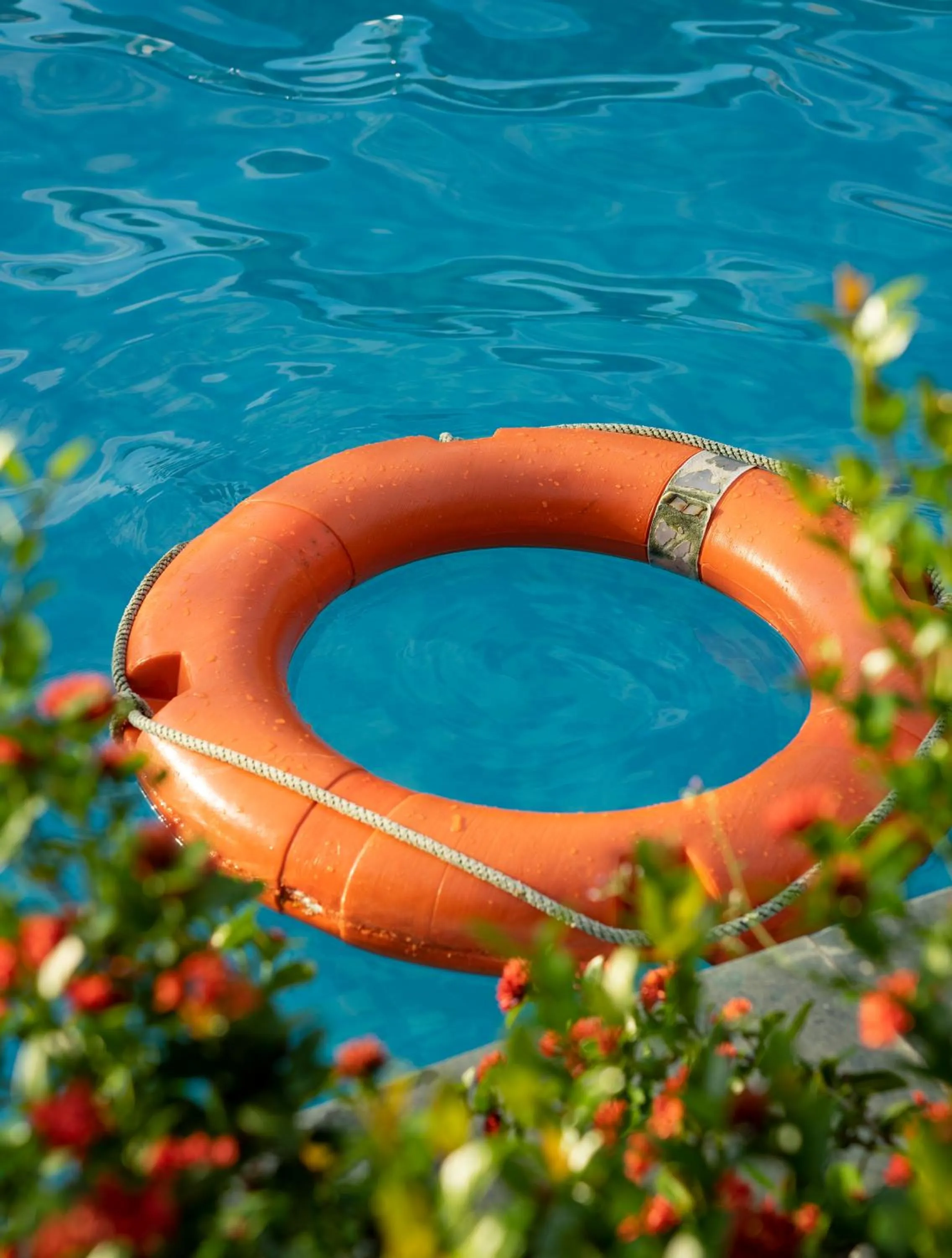 Day in Tam Coc Minh Hung Homestay